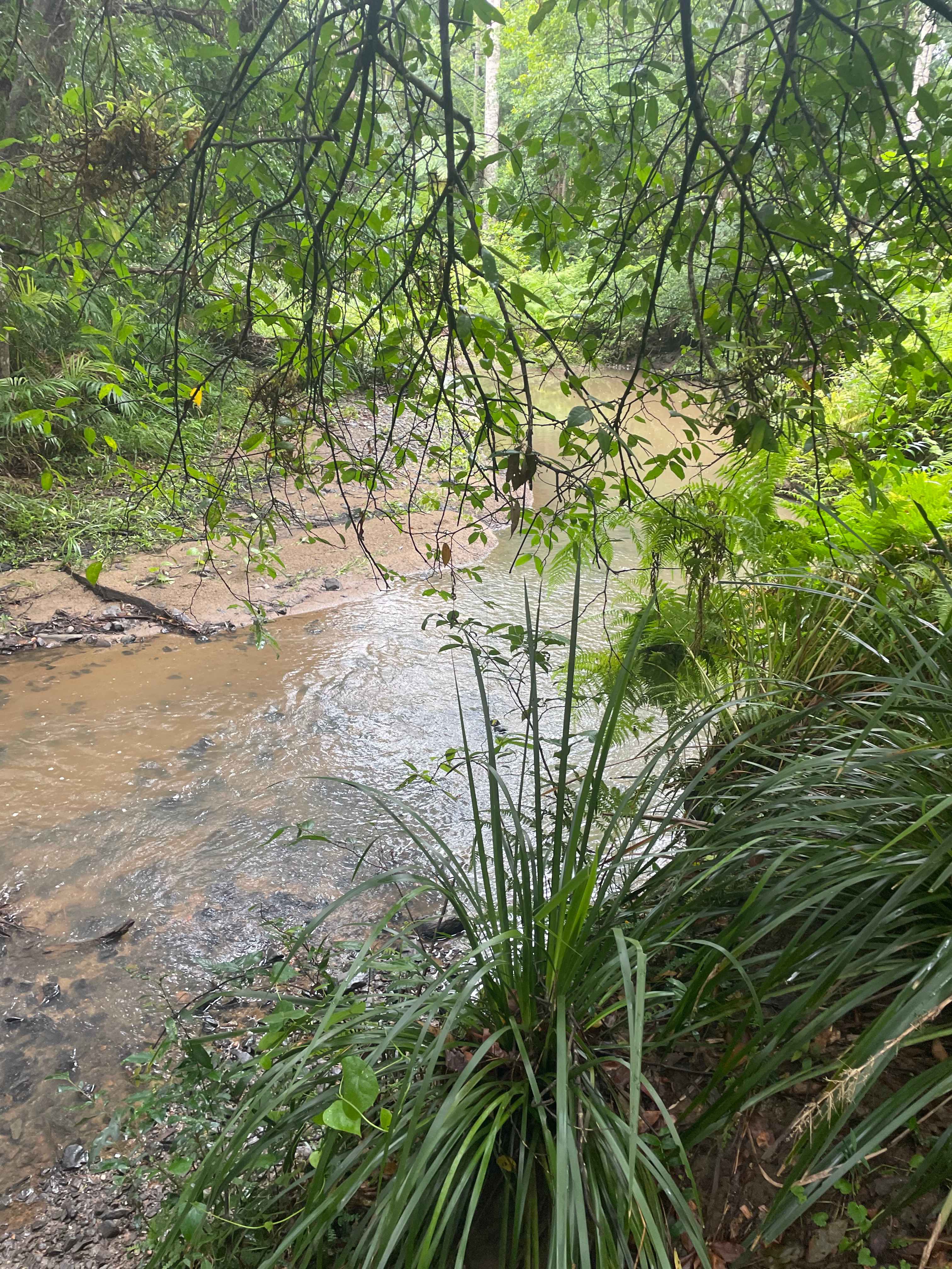 A Place To Call Home