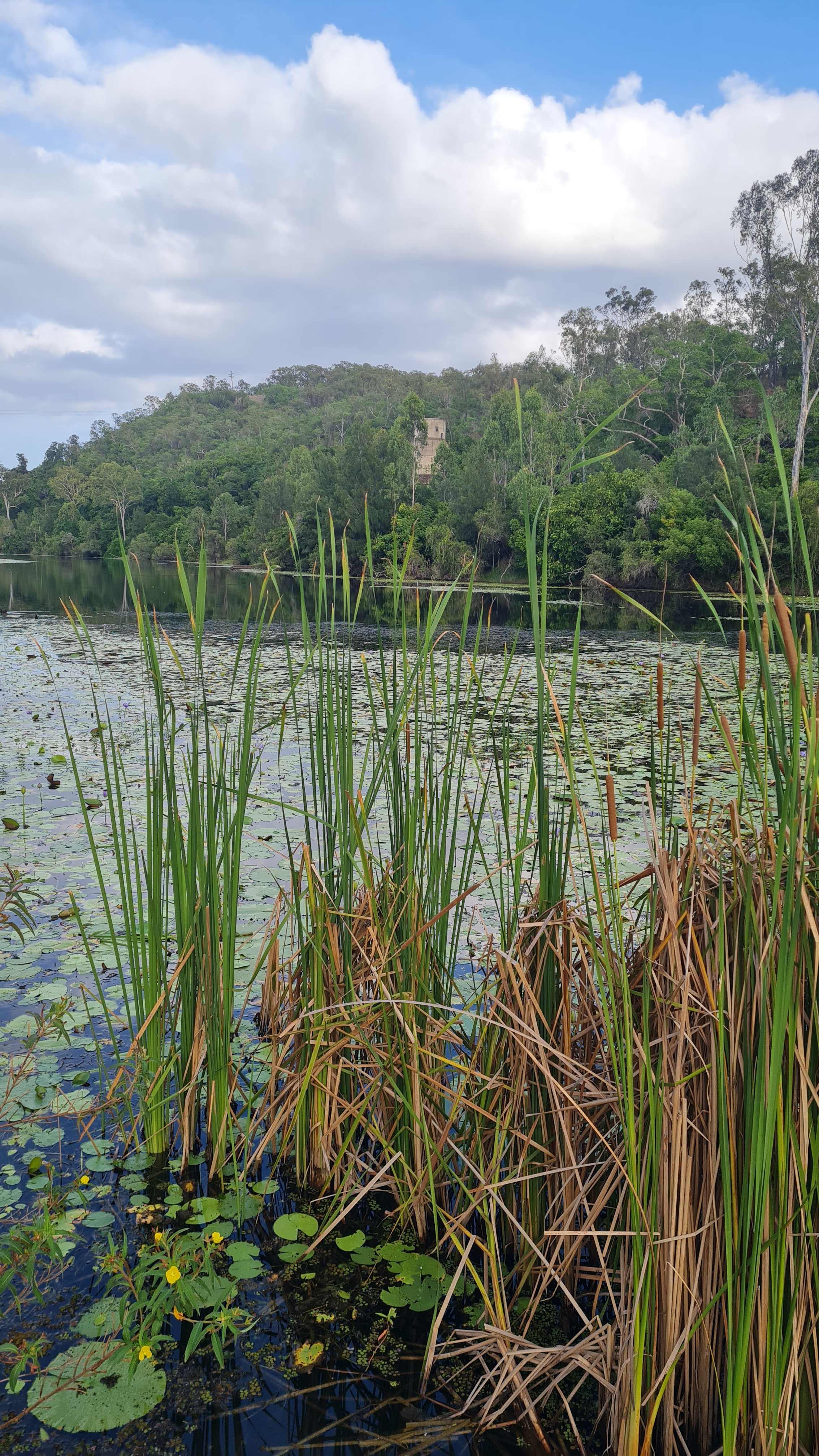 Camp Akuna Pikes Crossing INC