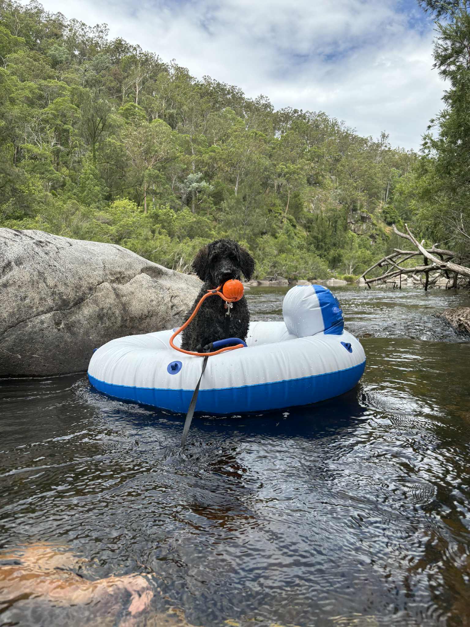 Eagle Ridge Bush Retreat