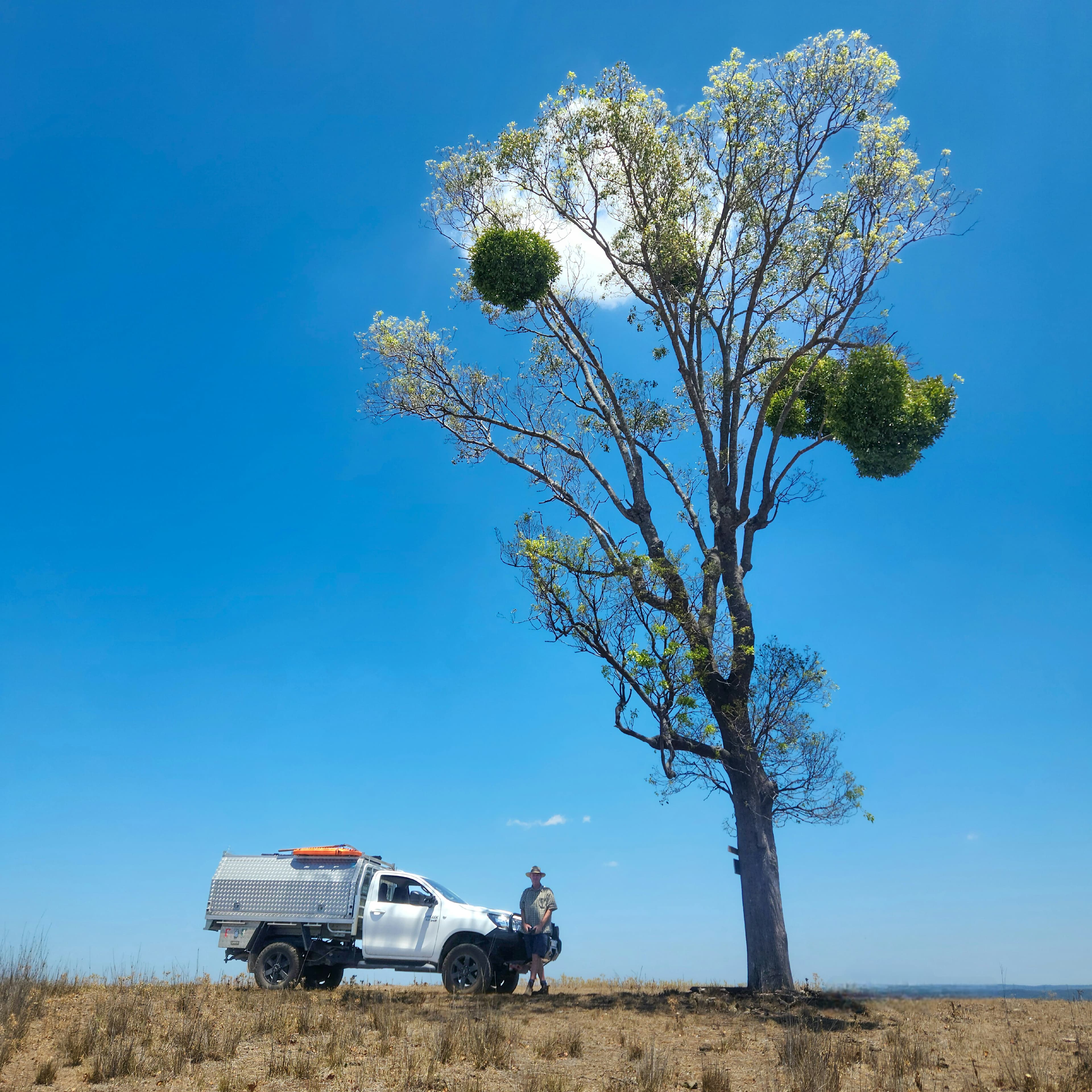 Hillside Camp on Bow River