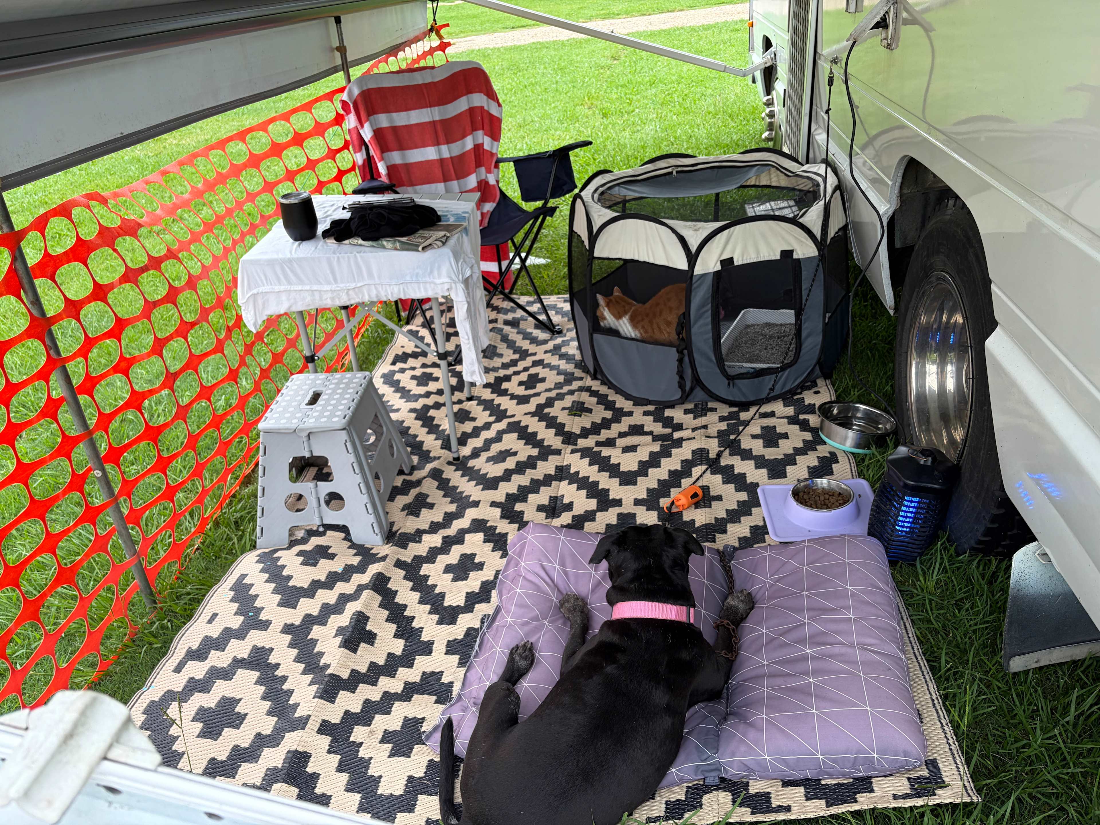 Camping with pets