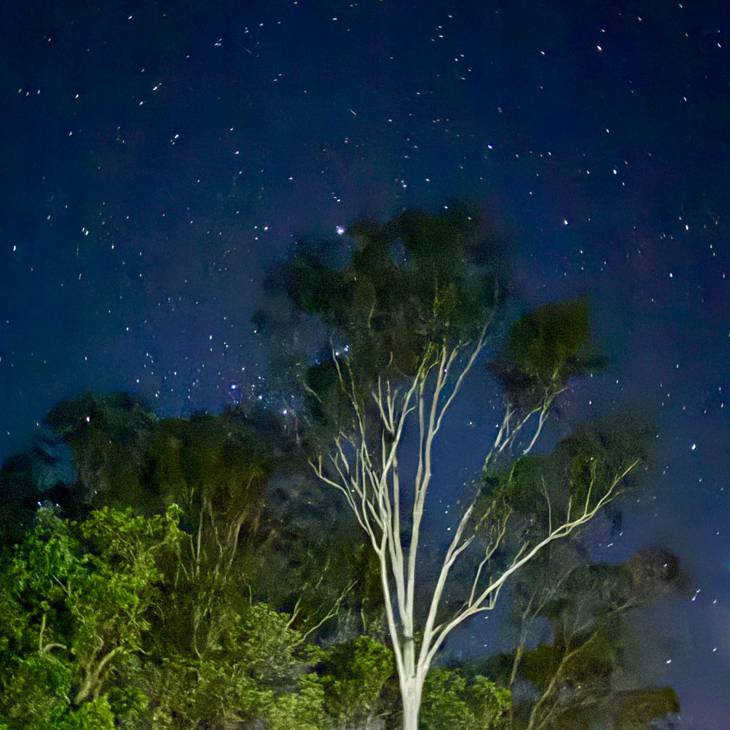 Bucca Country River Retreat