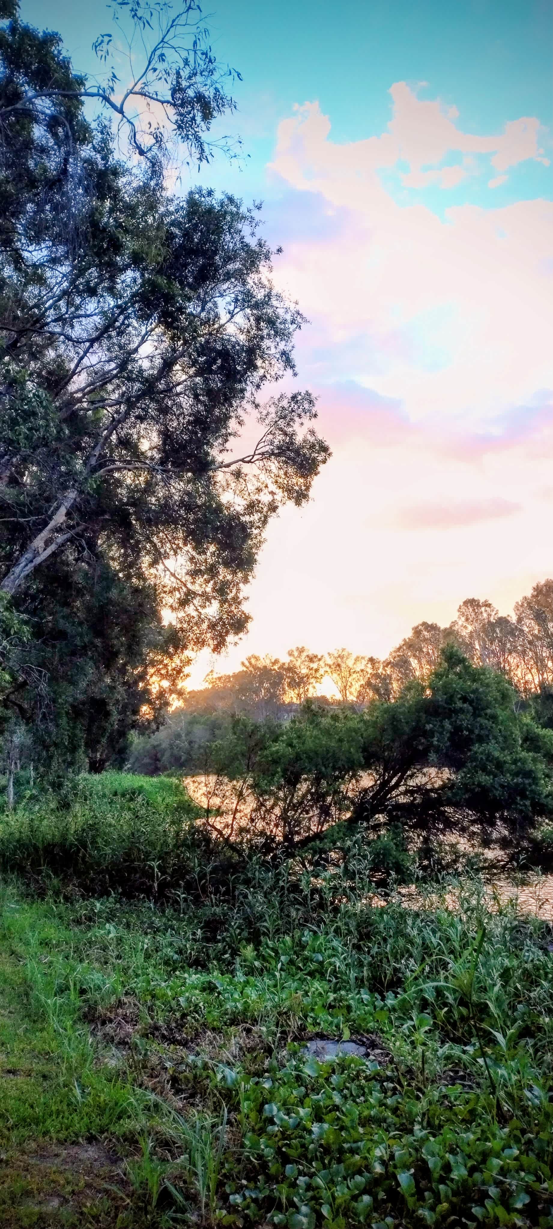 Wright's on the River