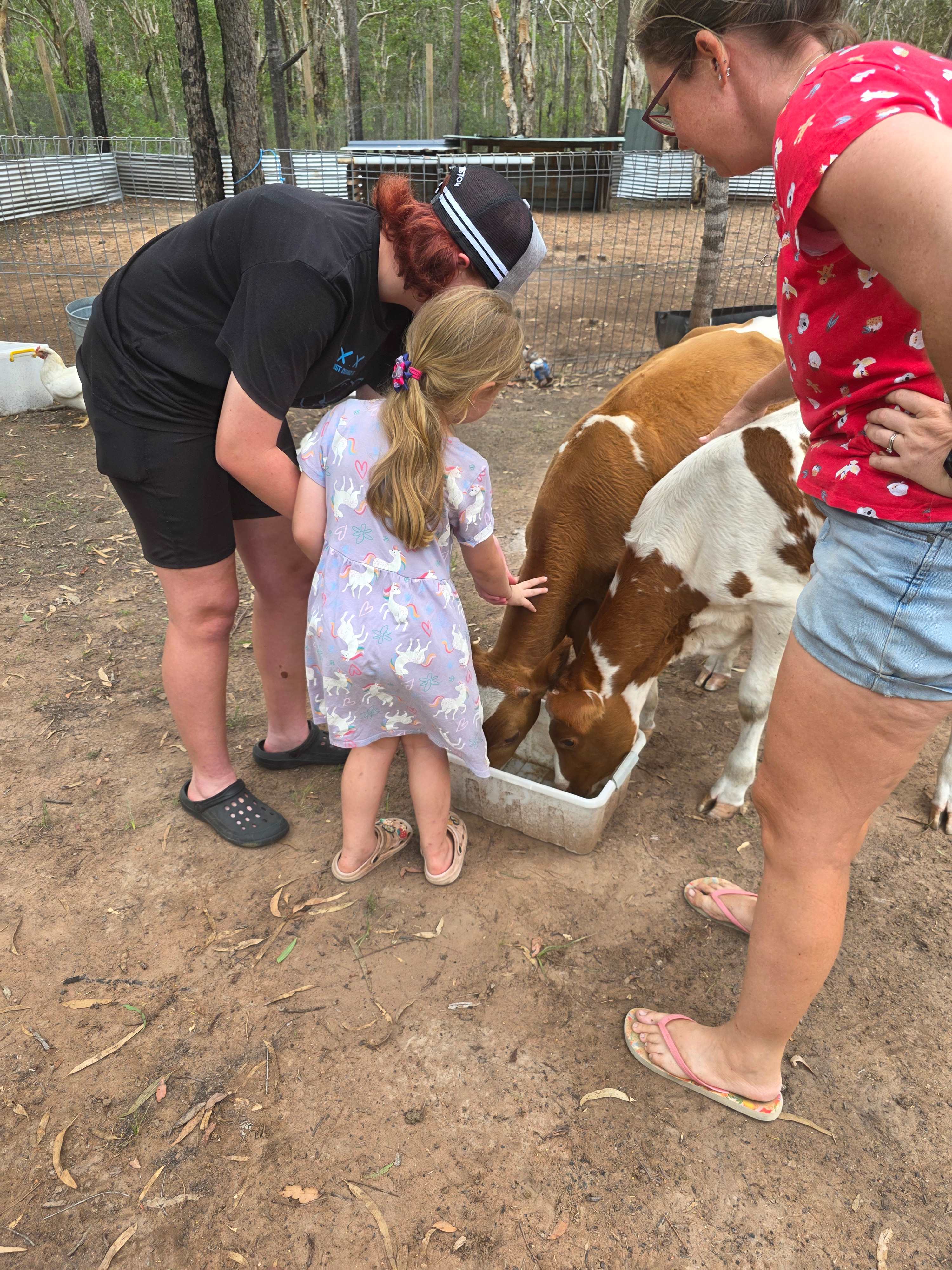 Woodlands Farmstay and Glamping