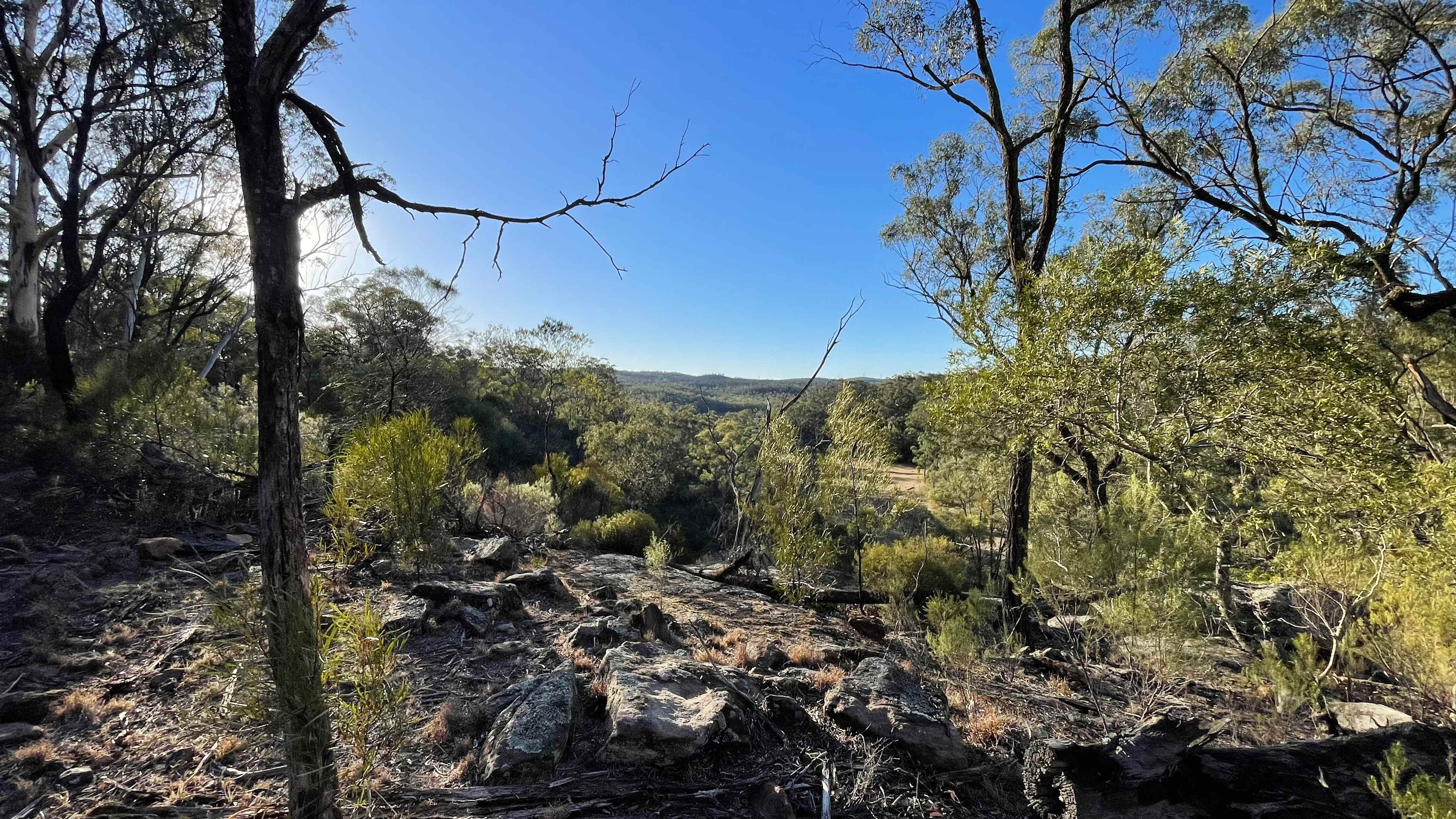 Hillside Camp on Bow River