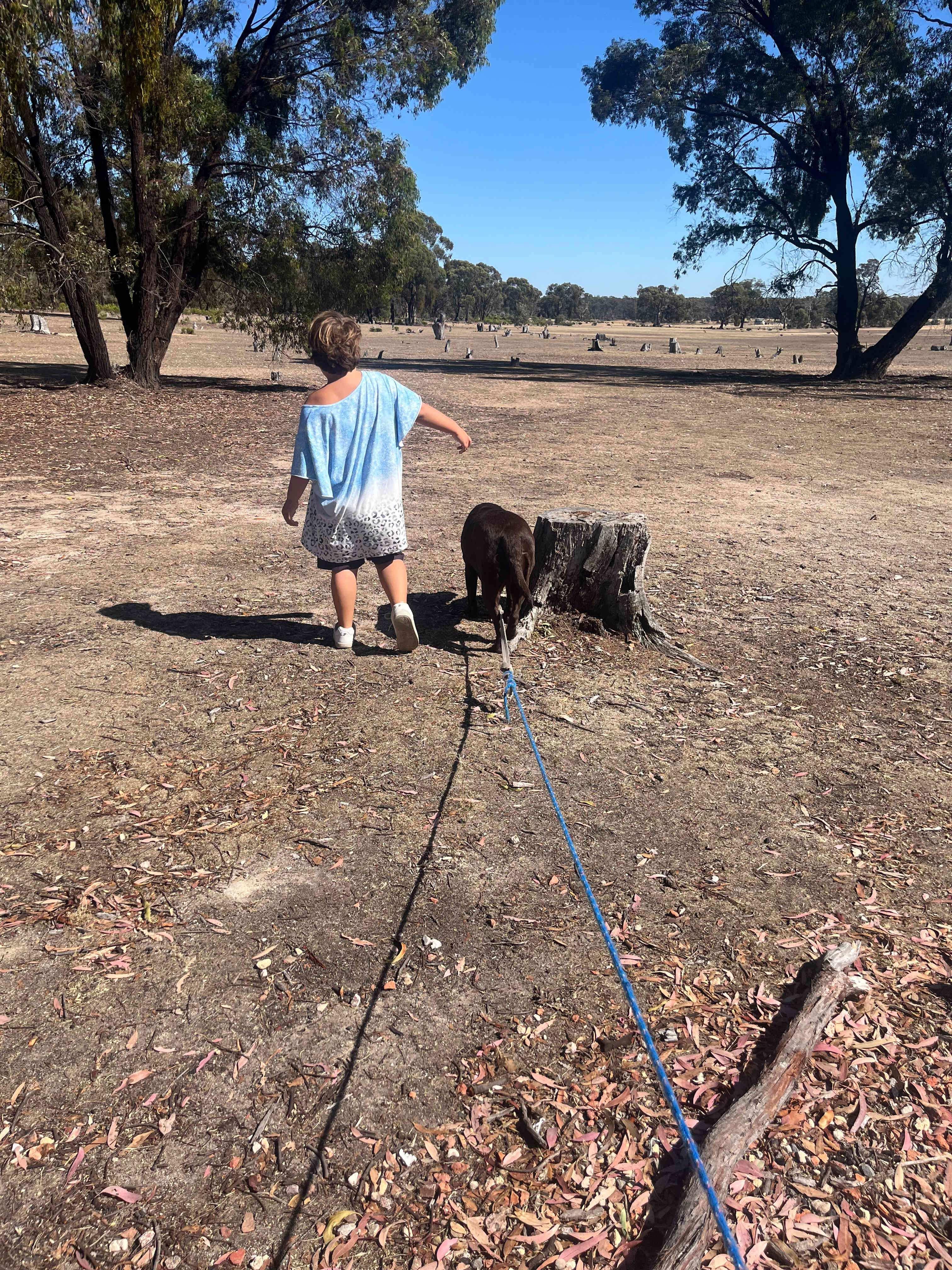 Somerville Park   (Bendigo)