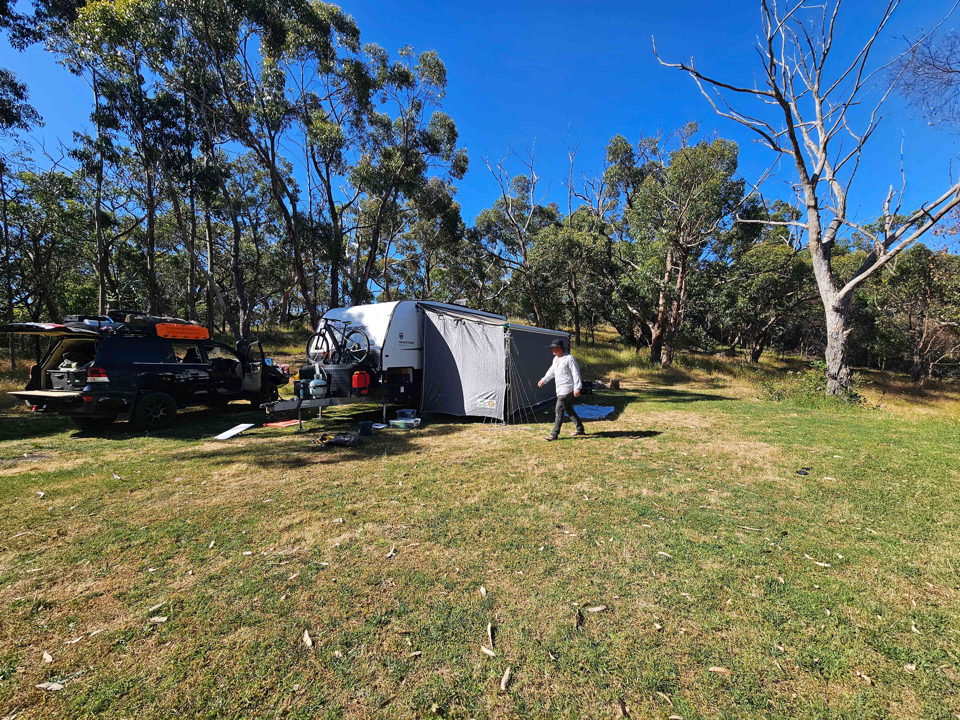 Perfect amount of shade and sun for the solar panels 