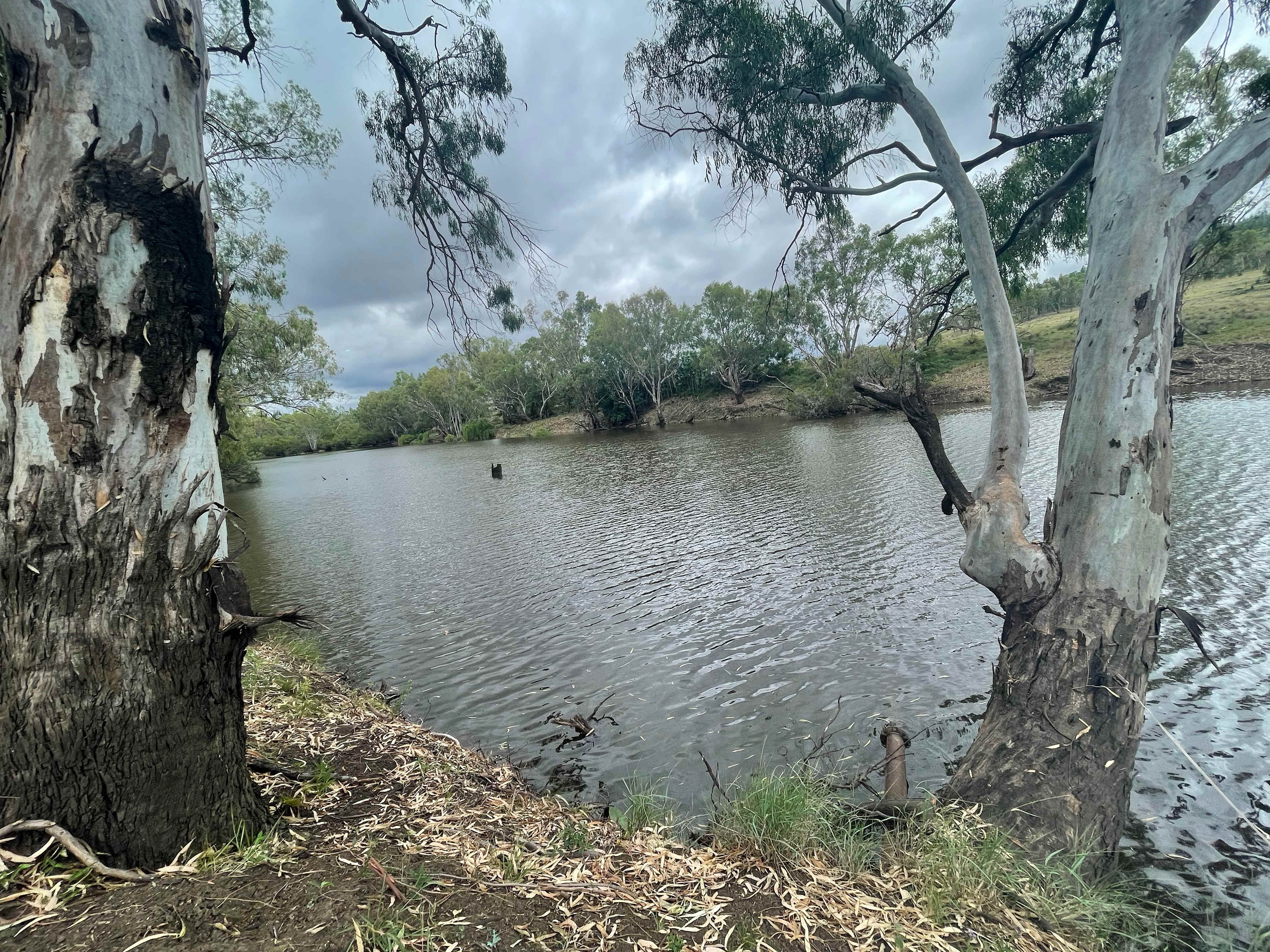 Wongalea Fishing and Camping