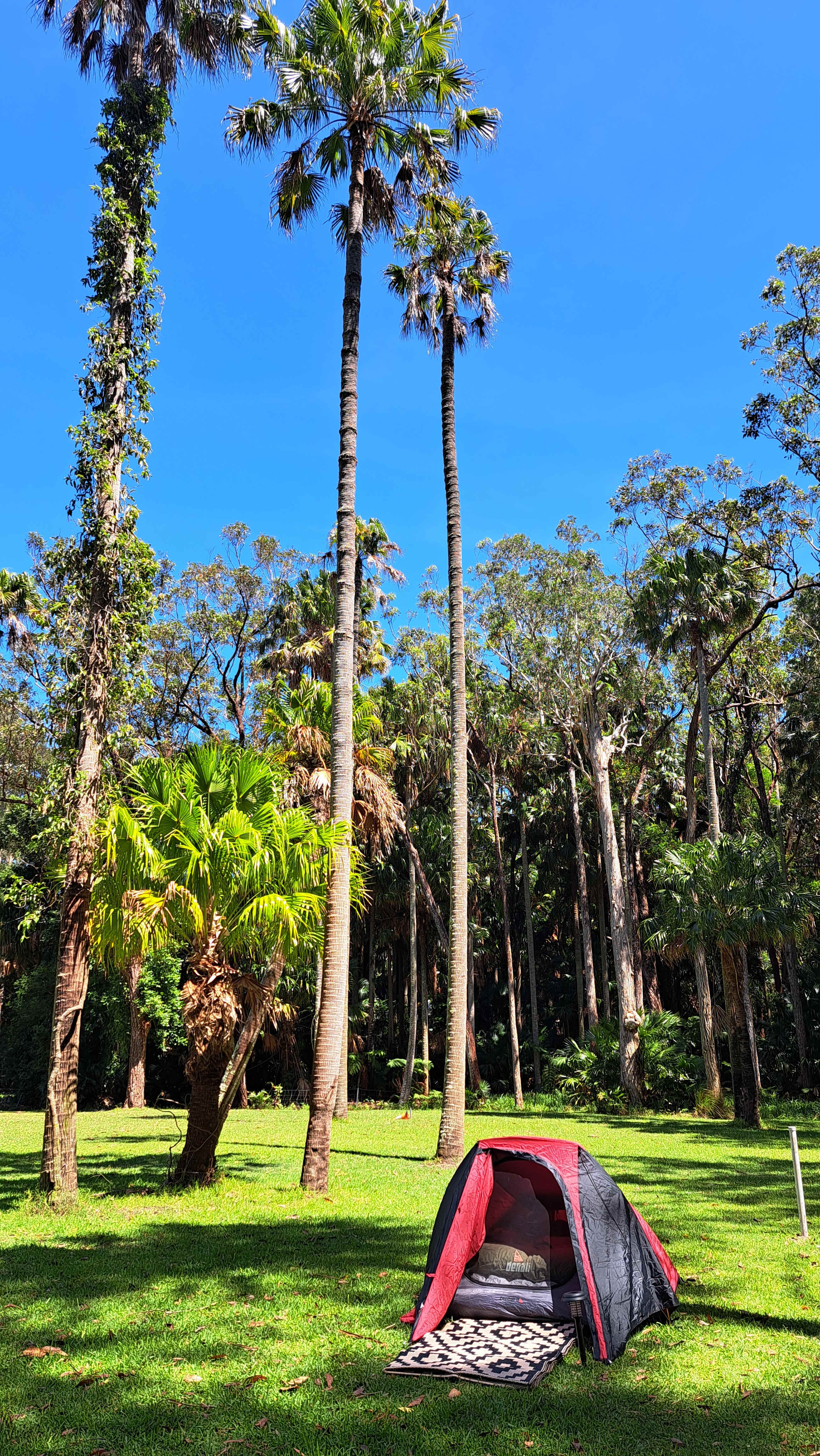 Blueys Beach Farmstayz