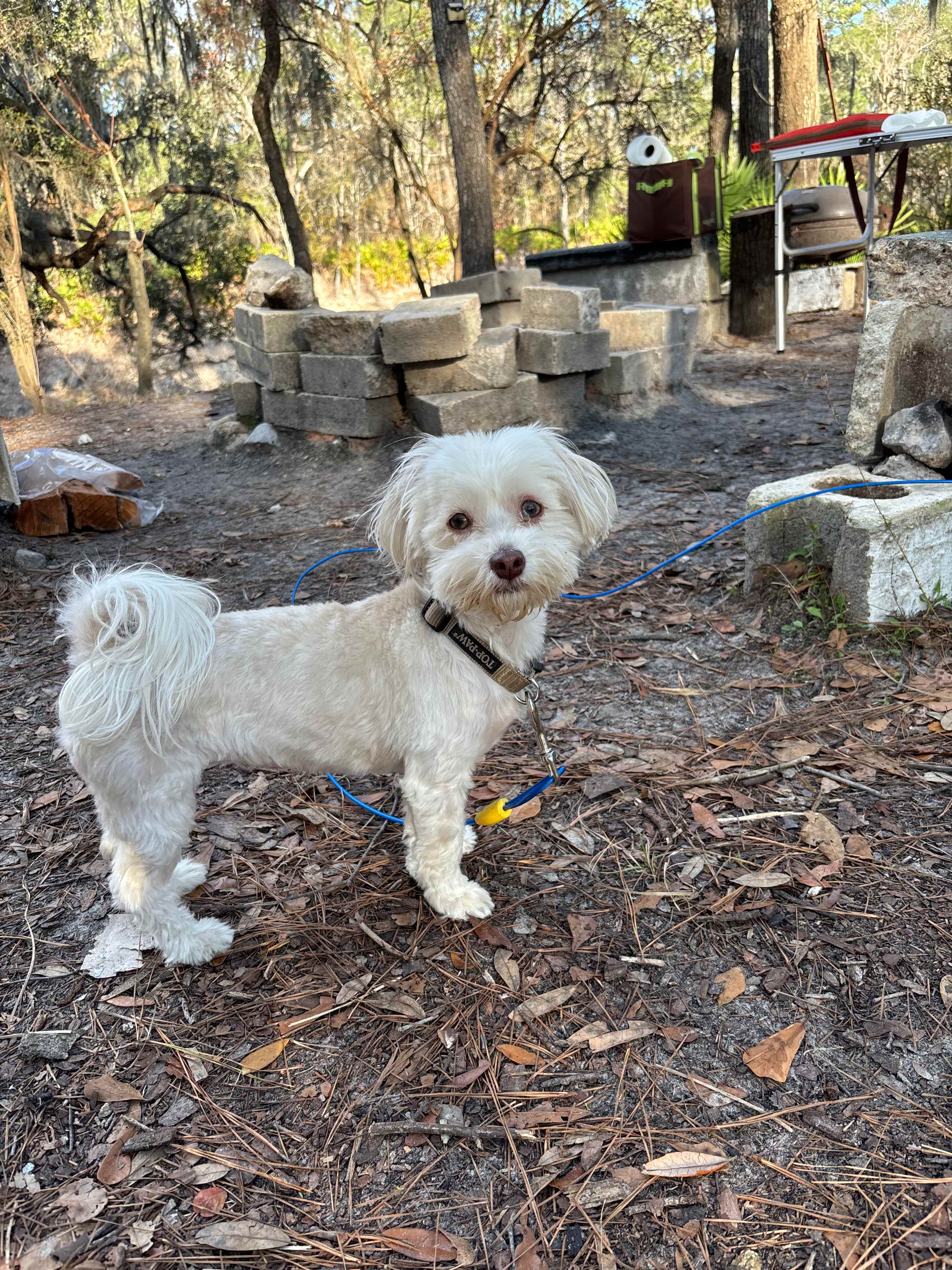 Off Grid River Camping