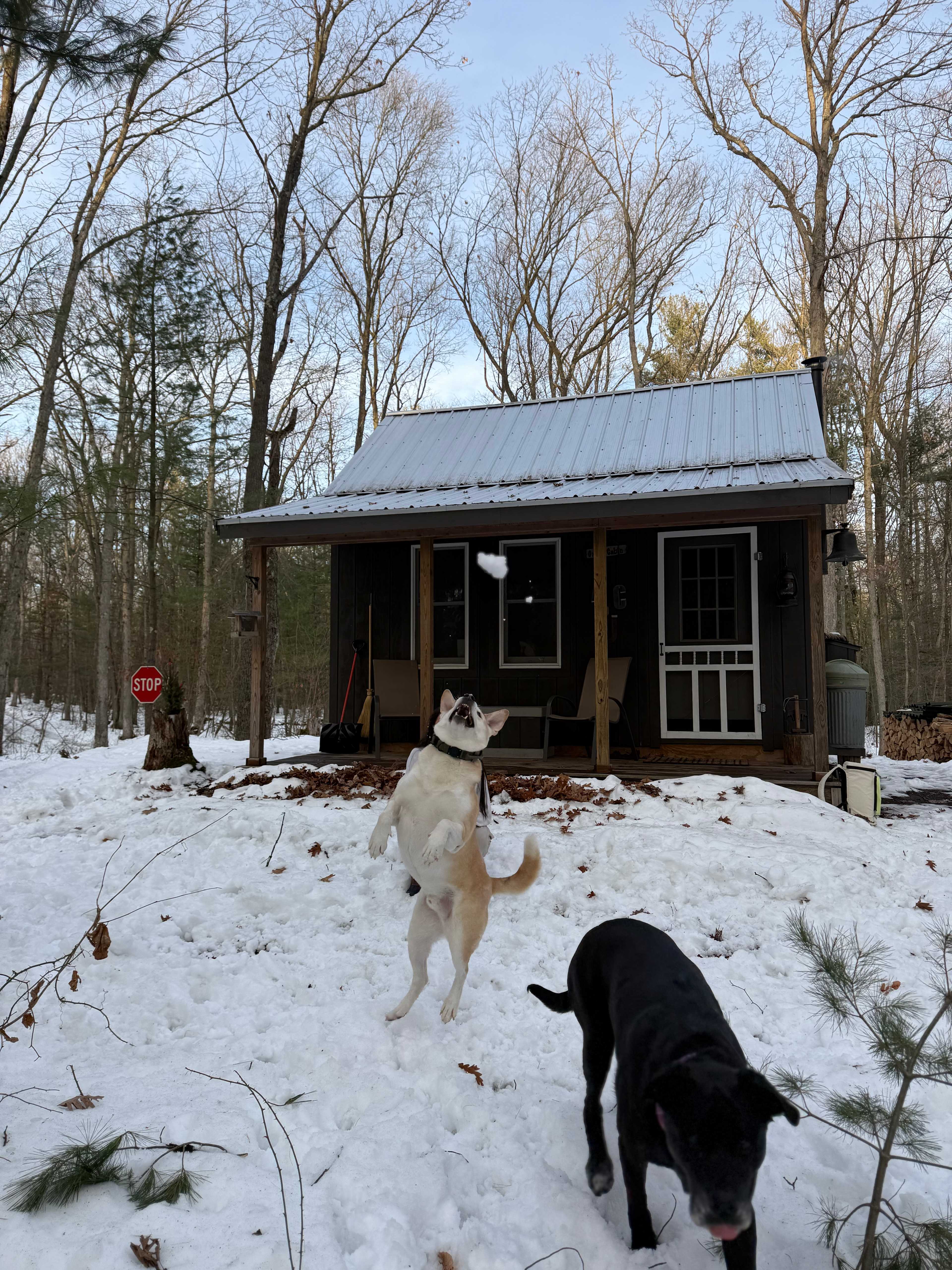 Dalton Traders Tents RV's Cabins