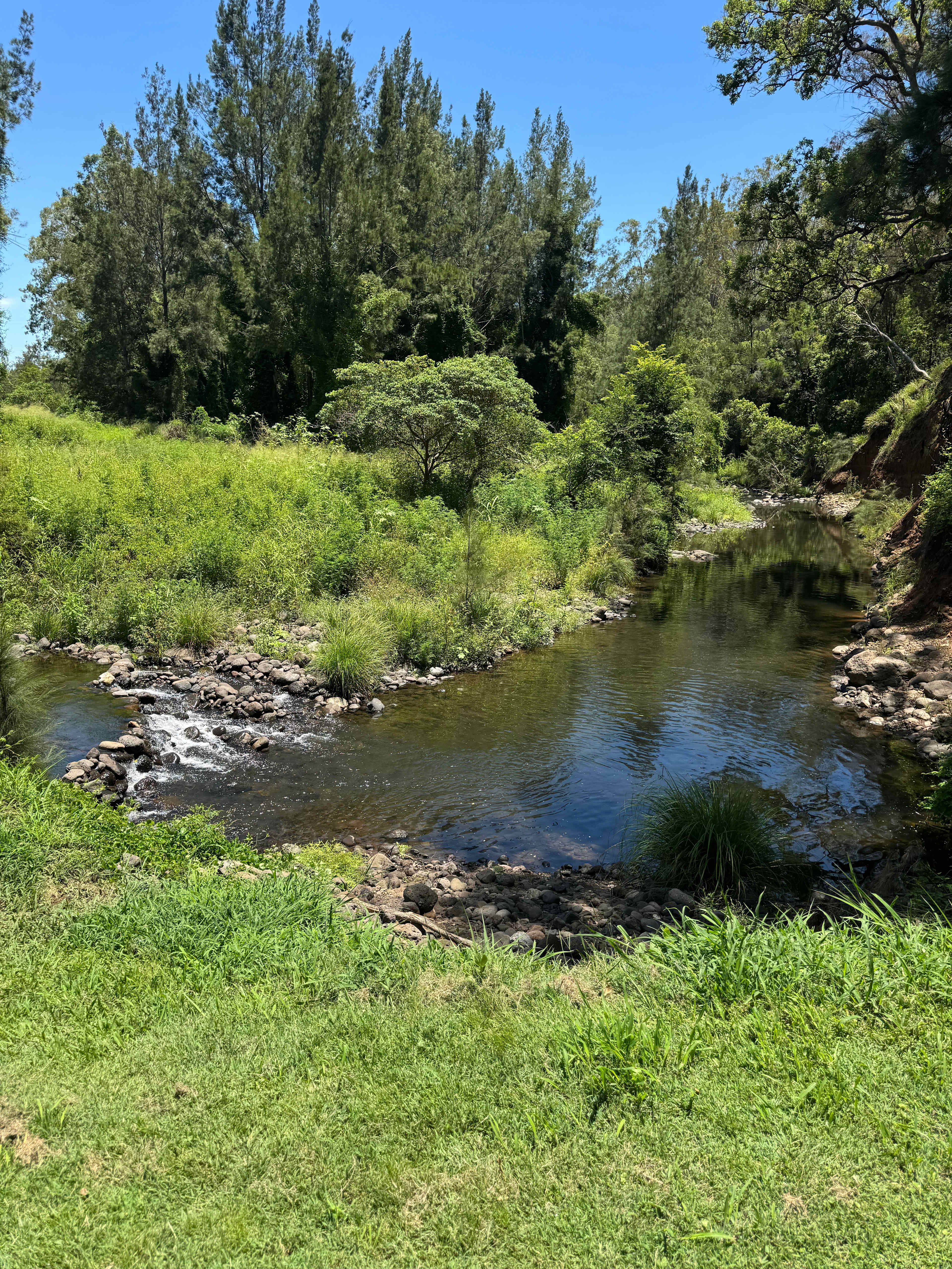 Christmas Creek Cedar Cabin & Camp