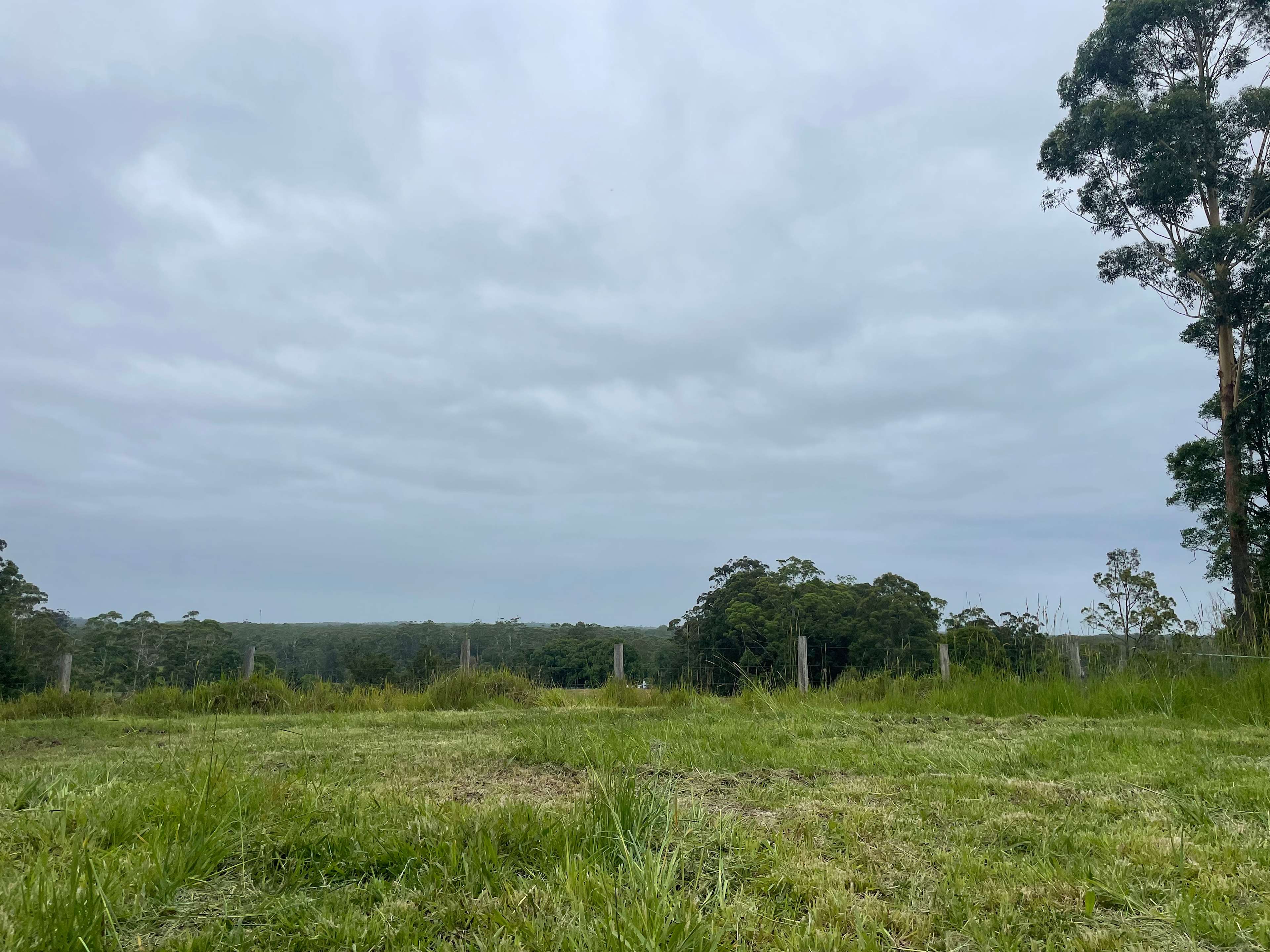 View from hilltop site on cloudy day 