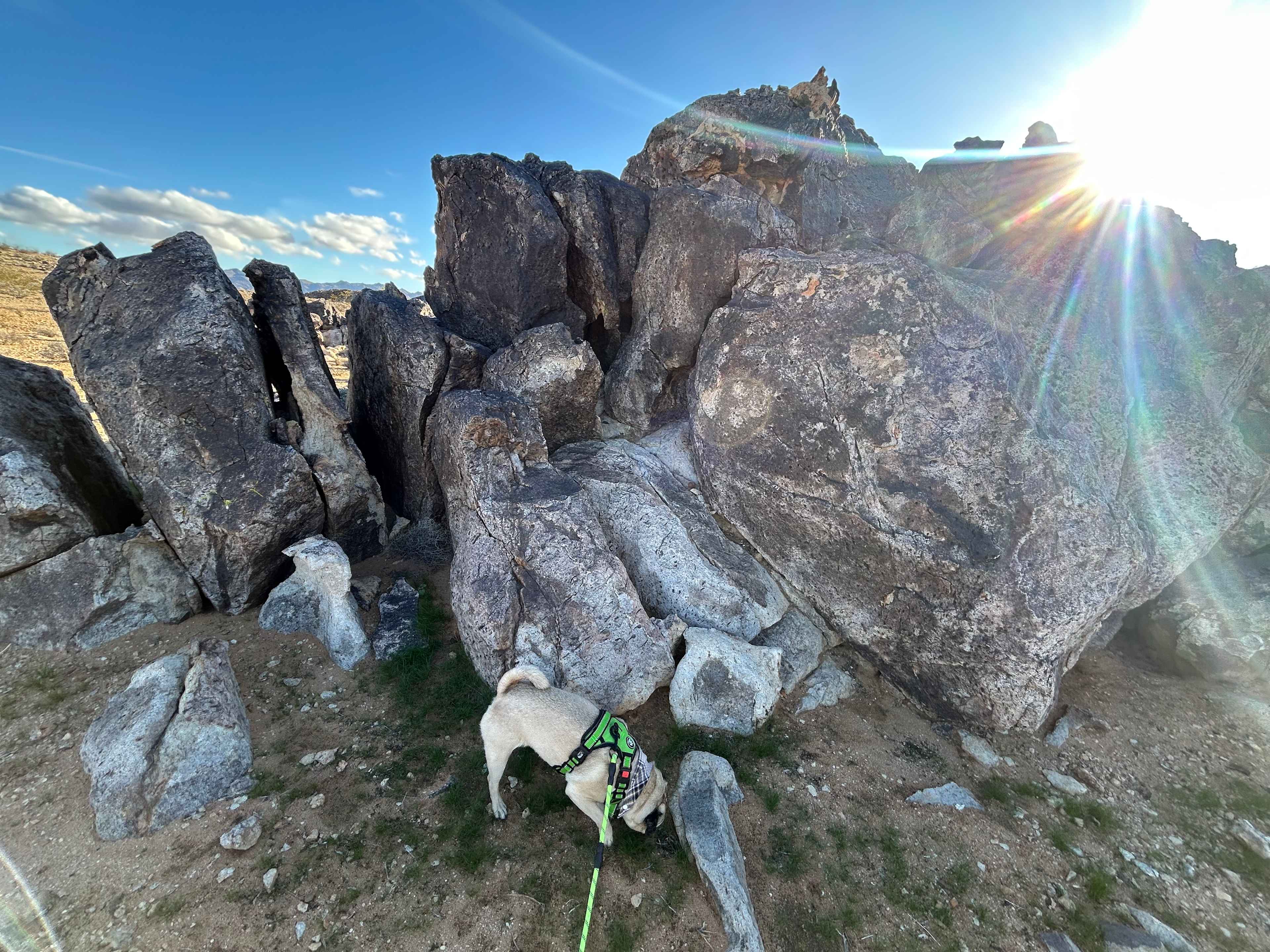 Coyote Hideaway | WOW view✨