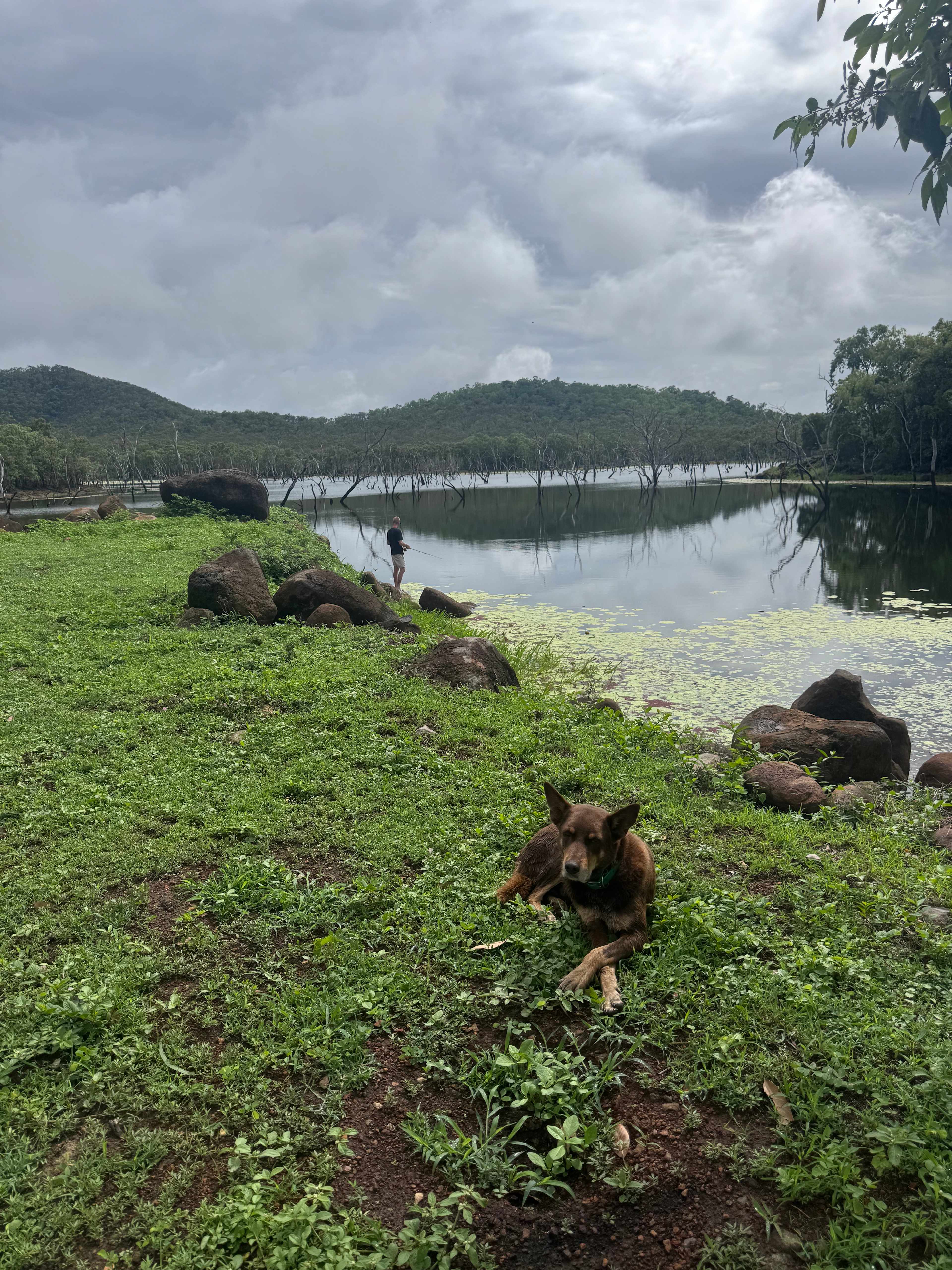 Lakeland Downs Camping
