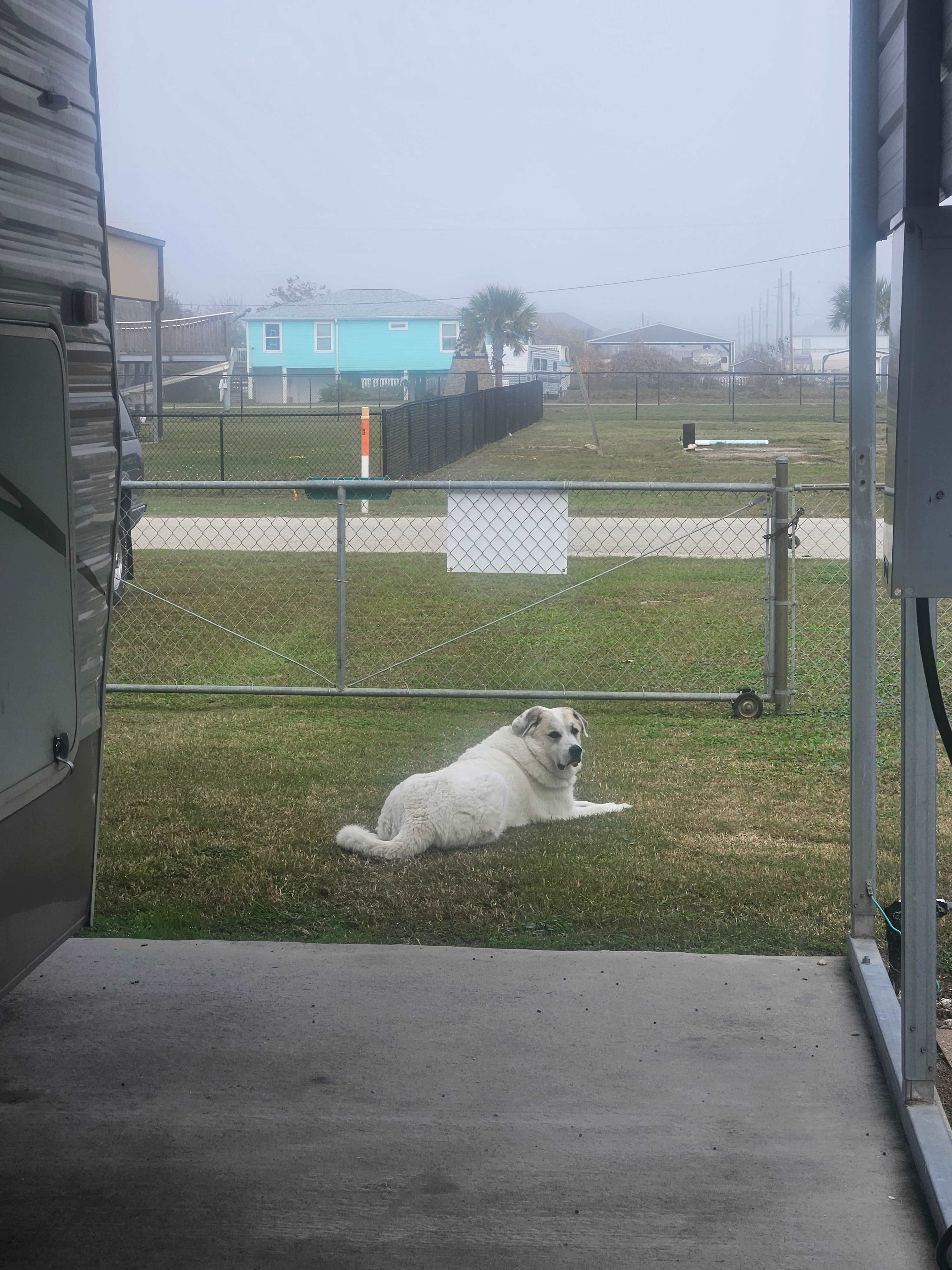 Max keeping the neighborhood safe and secure. 😆