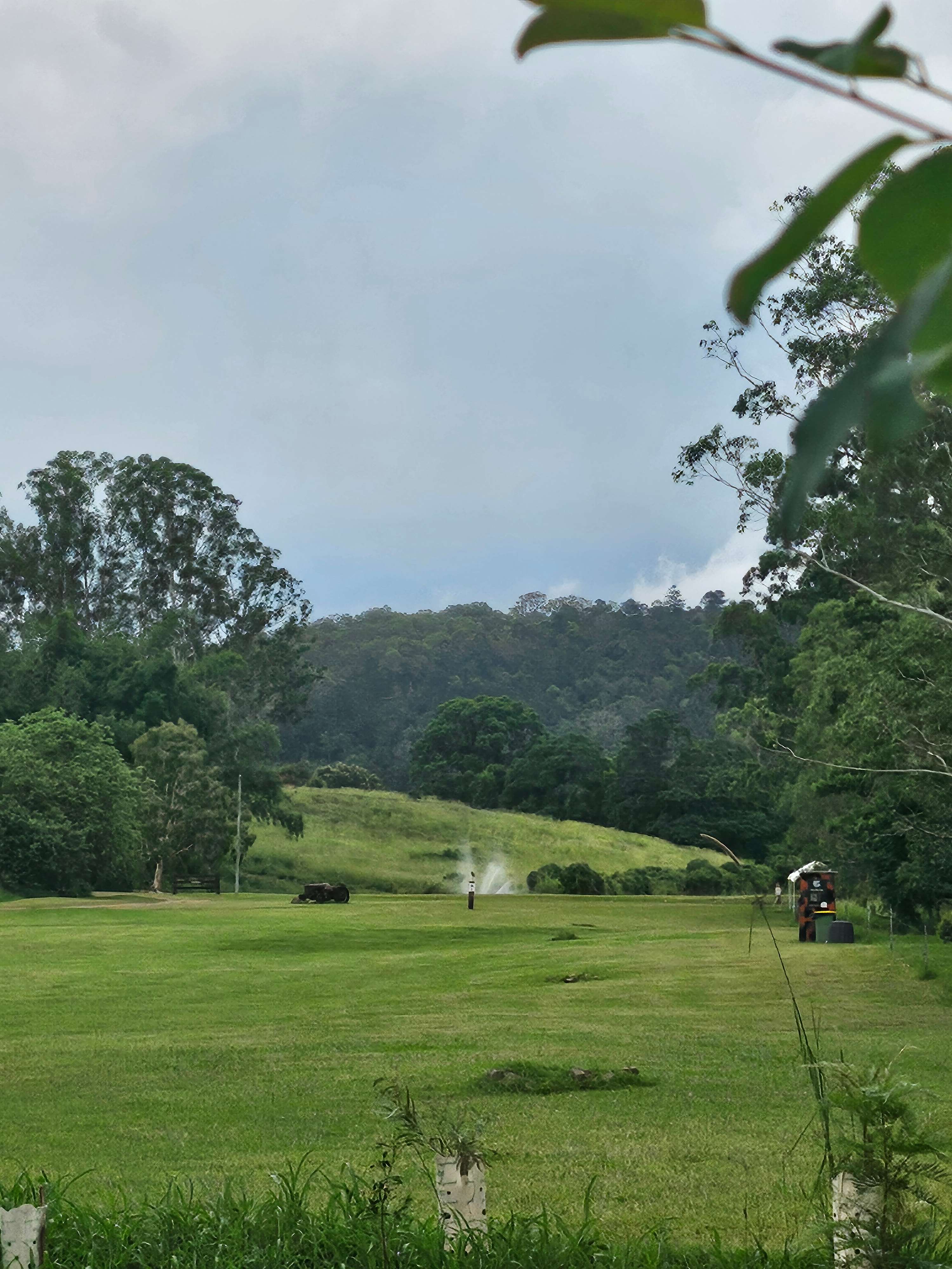 Bunya Grove