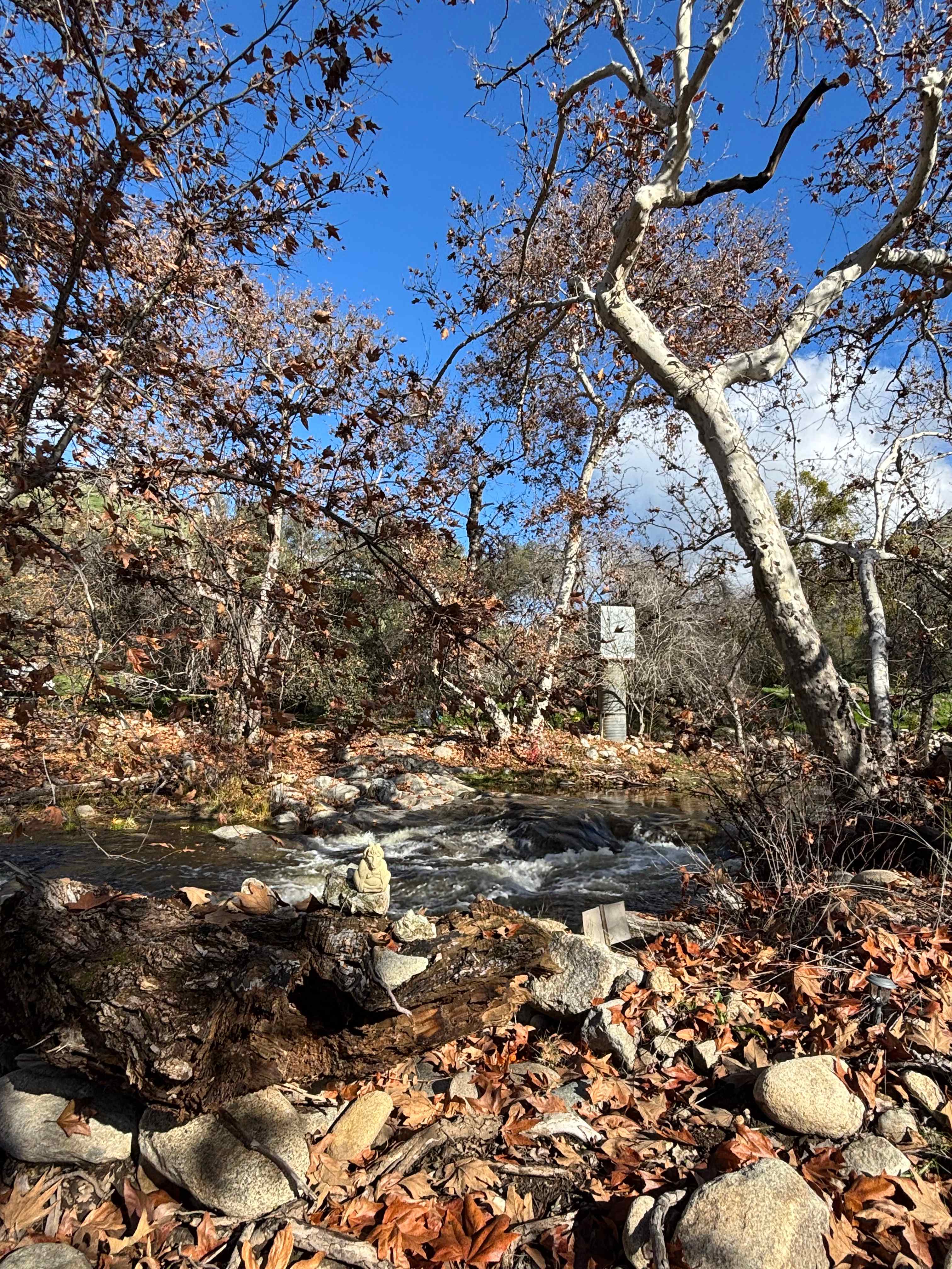 OrangeRay~Three Rivers