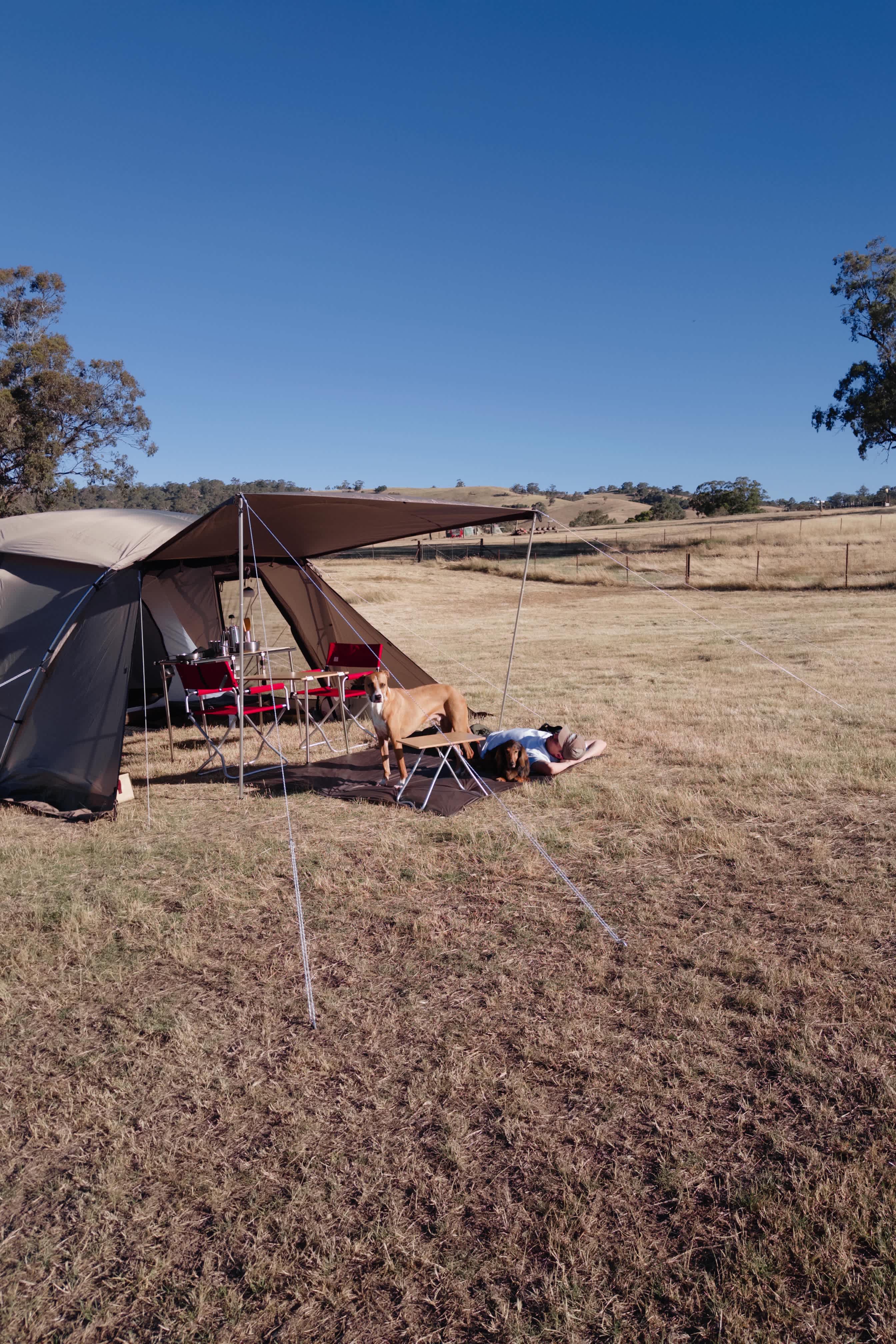 Redbank156 camping / PITCHED cabins