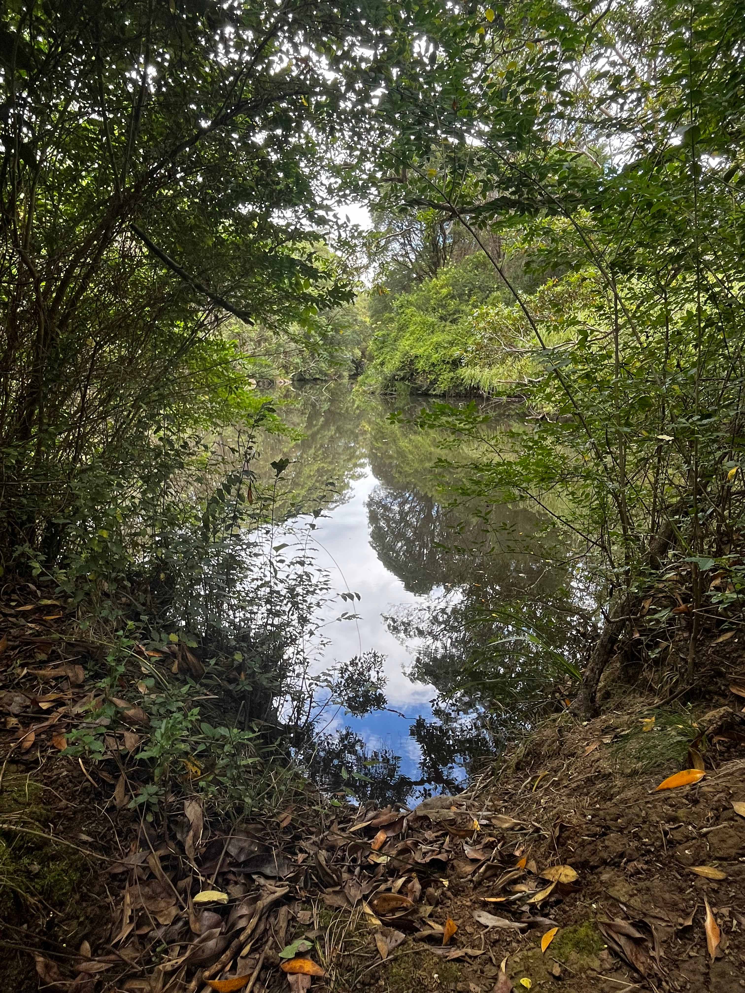 Little Plain Hall Grounds