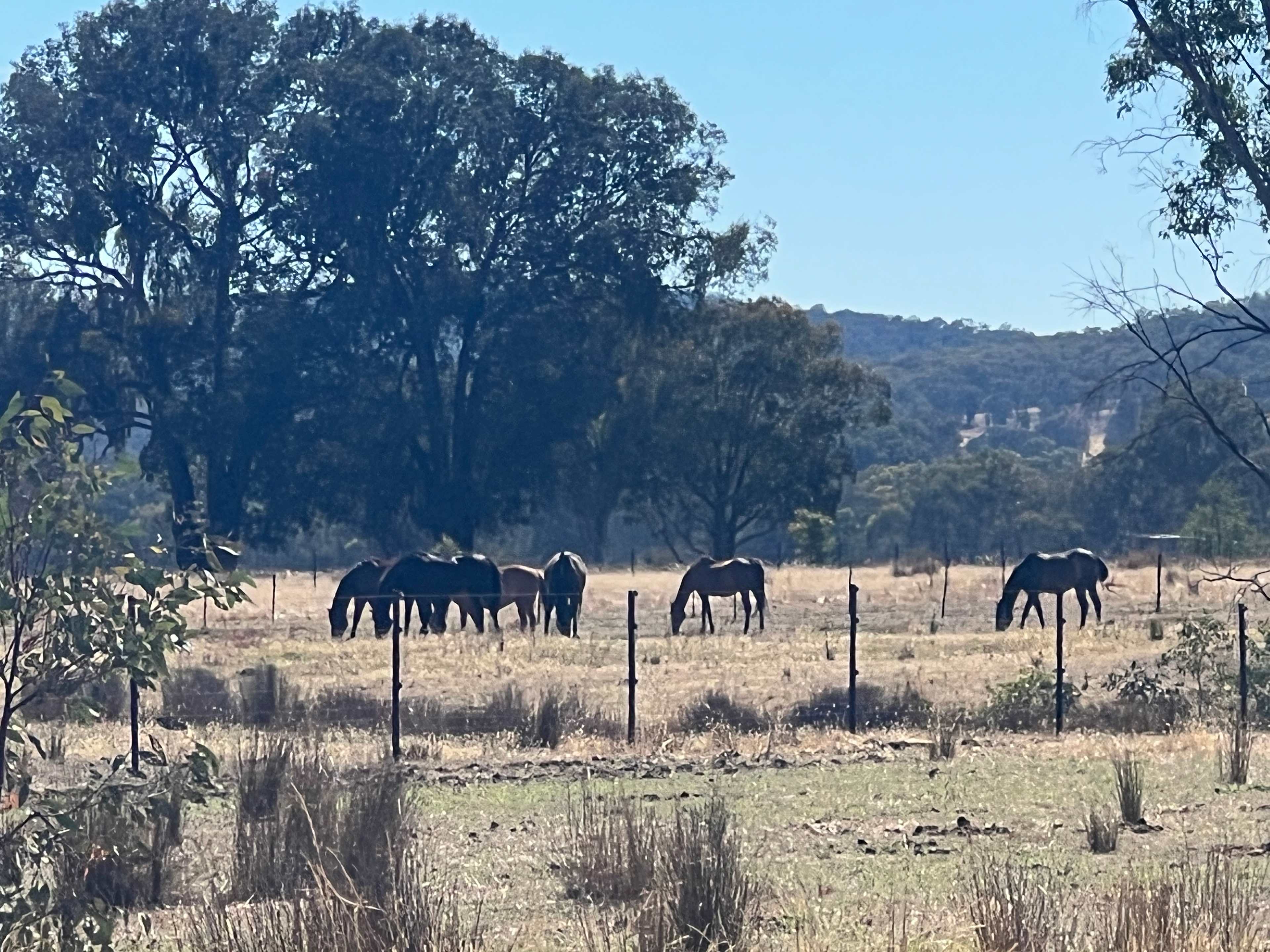 Retreat to Granite Springs Farmstay