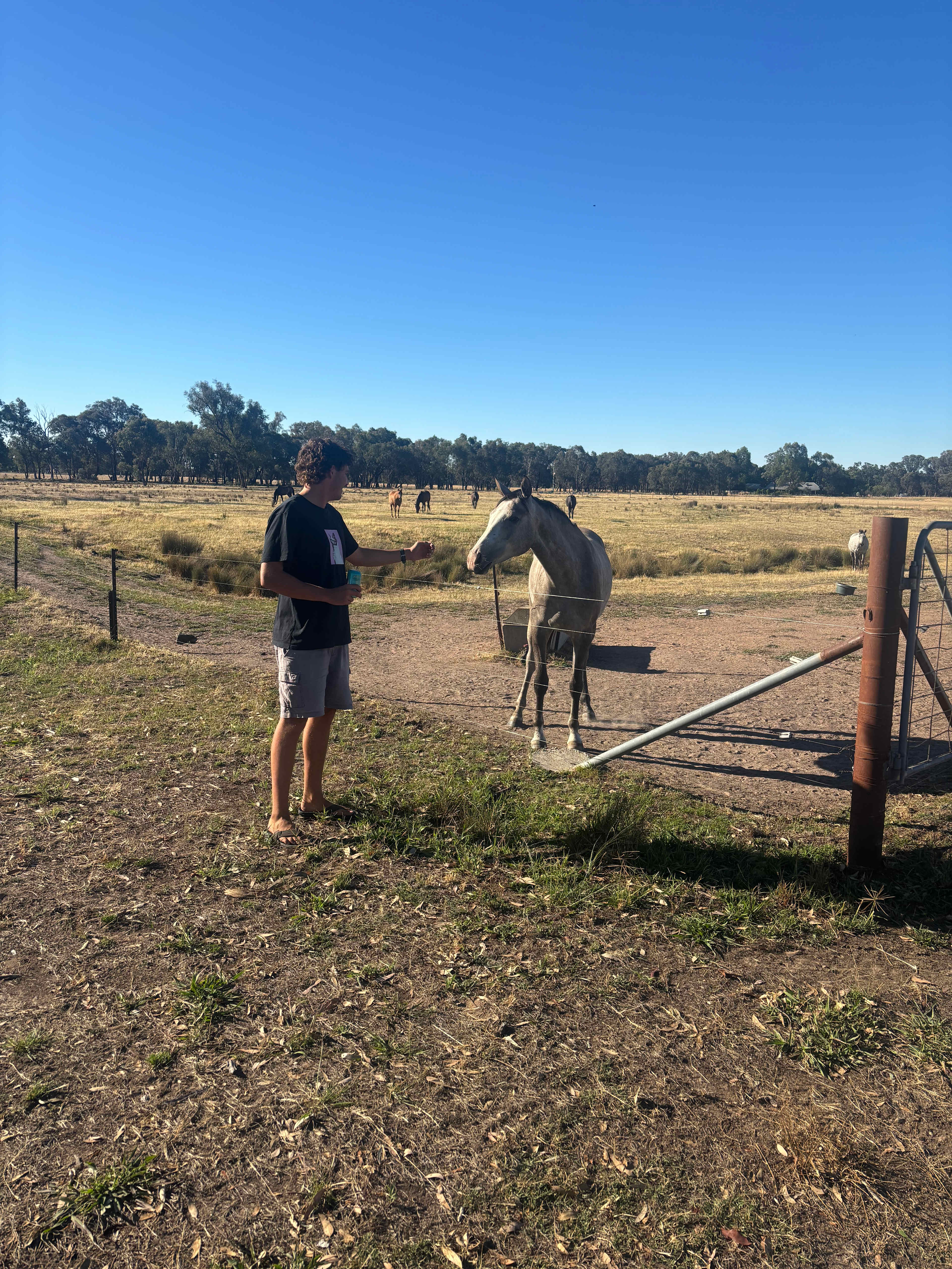 Retreat to Granite Springs Farmstay