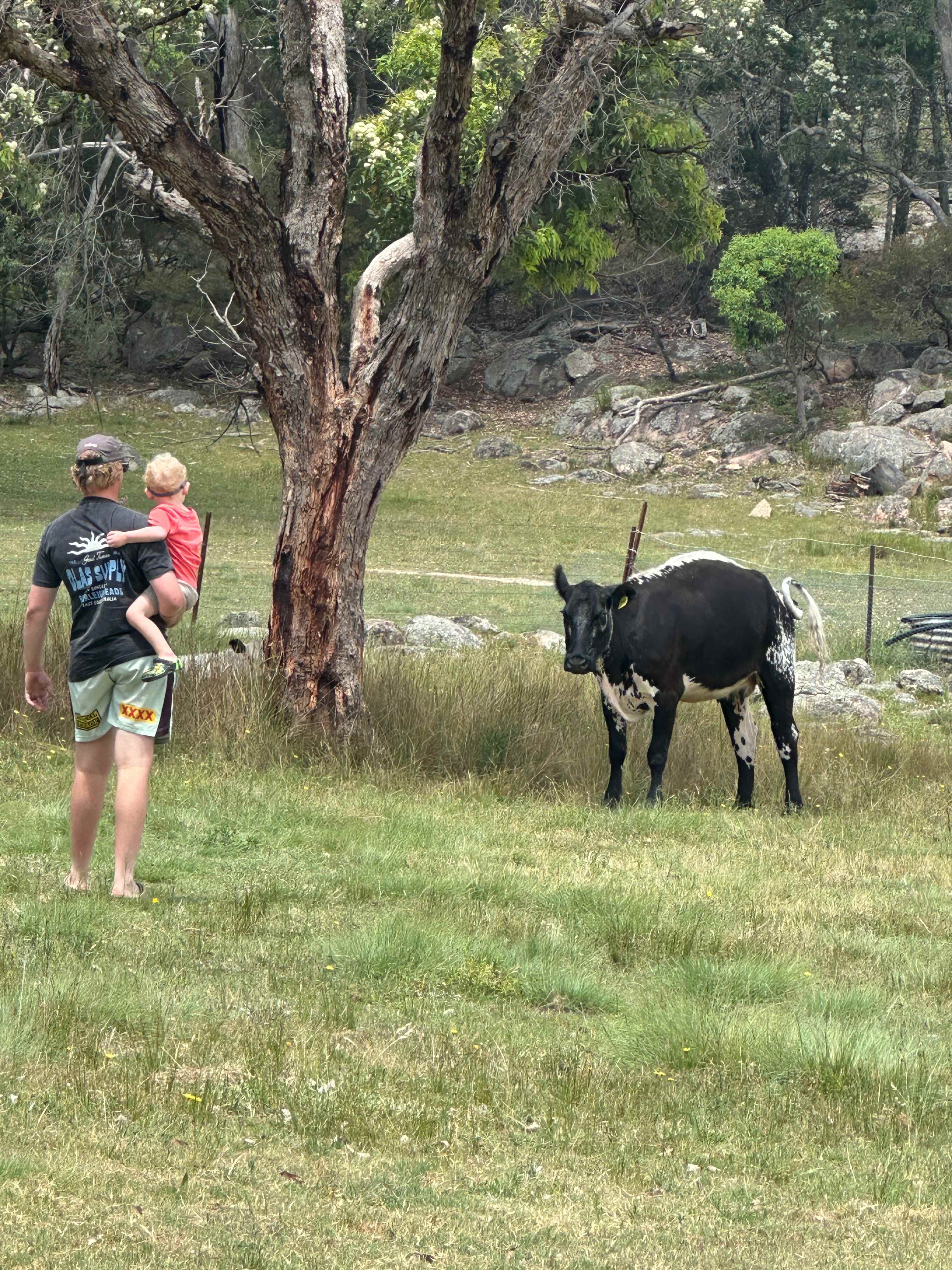 Kookaburra Camping & Caravan Park