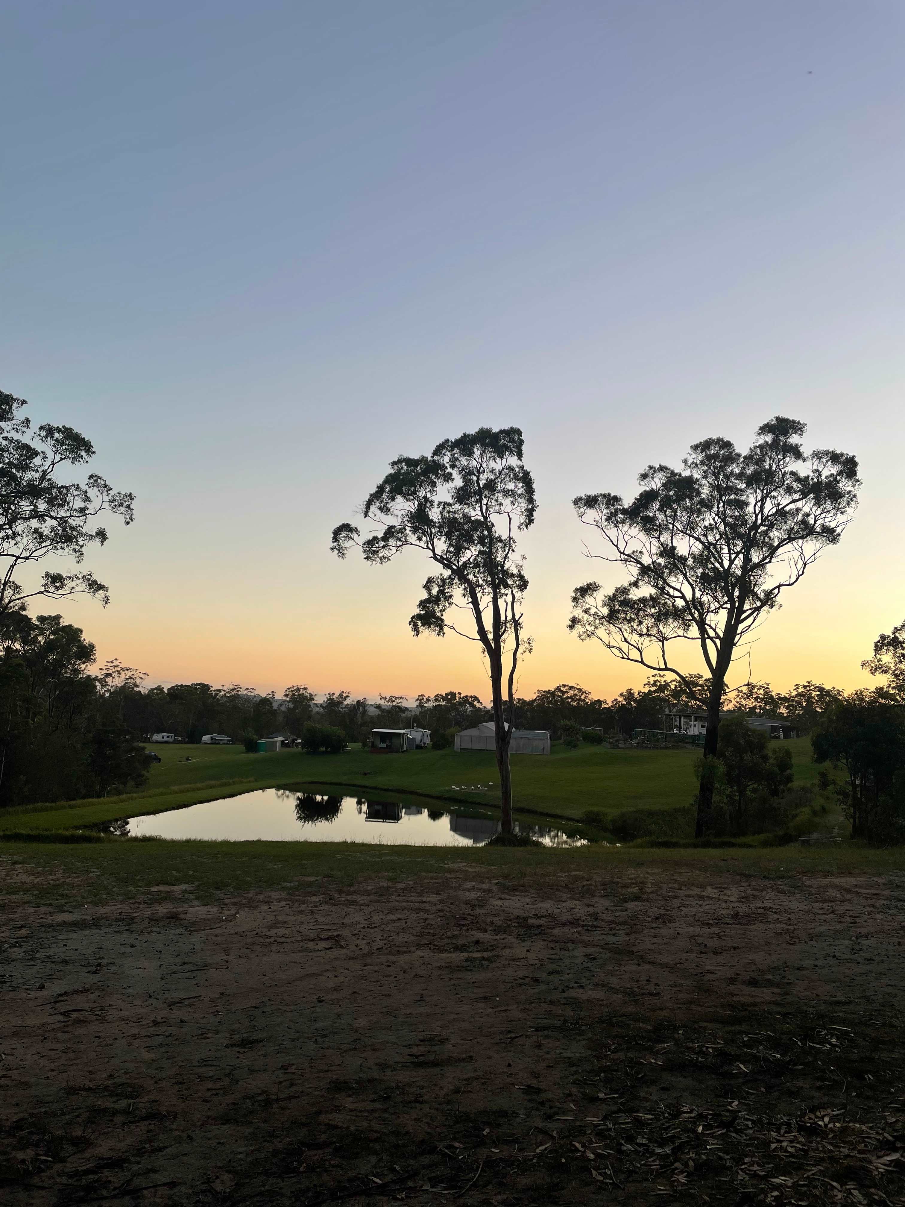 Mt Nellinda Campsite