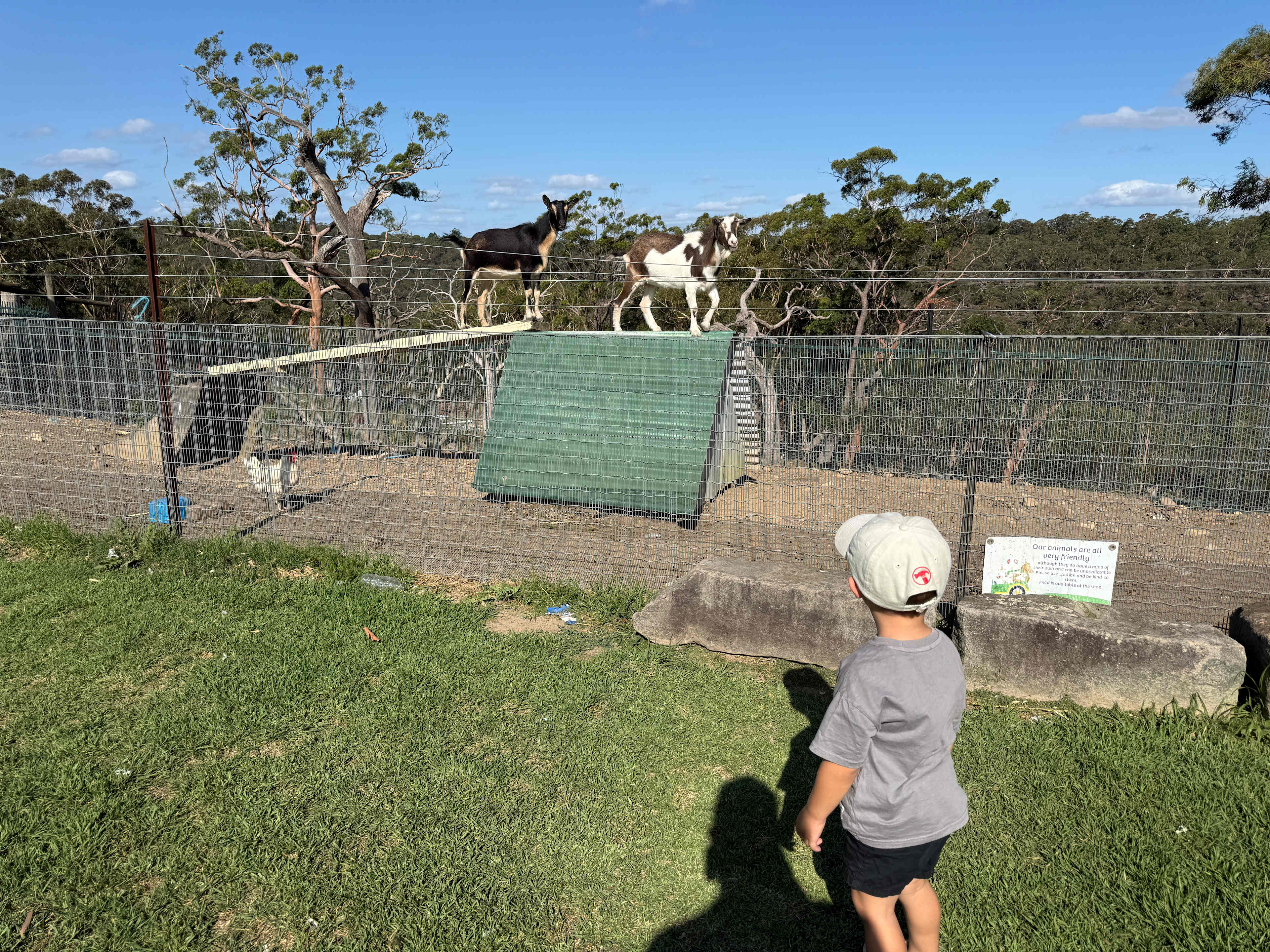Canoelands Orchard Camping