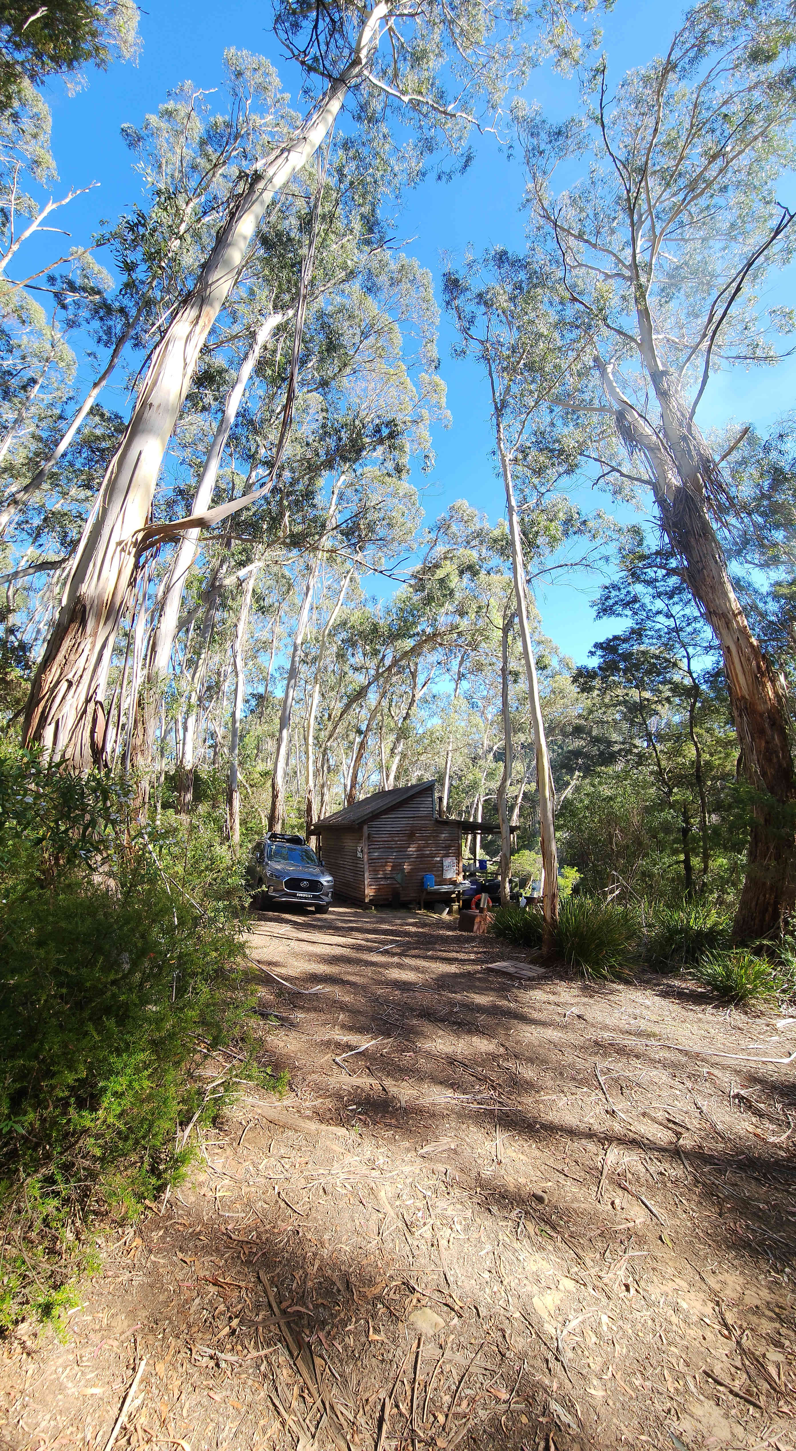 Scribbly Gum secluded bush camping