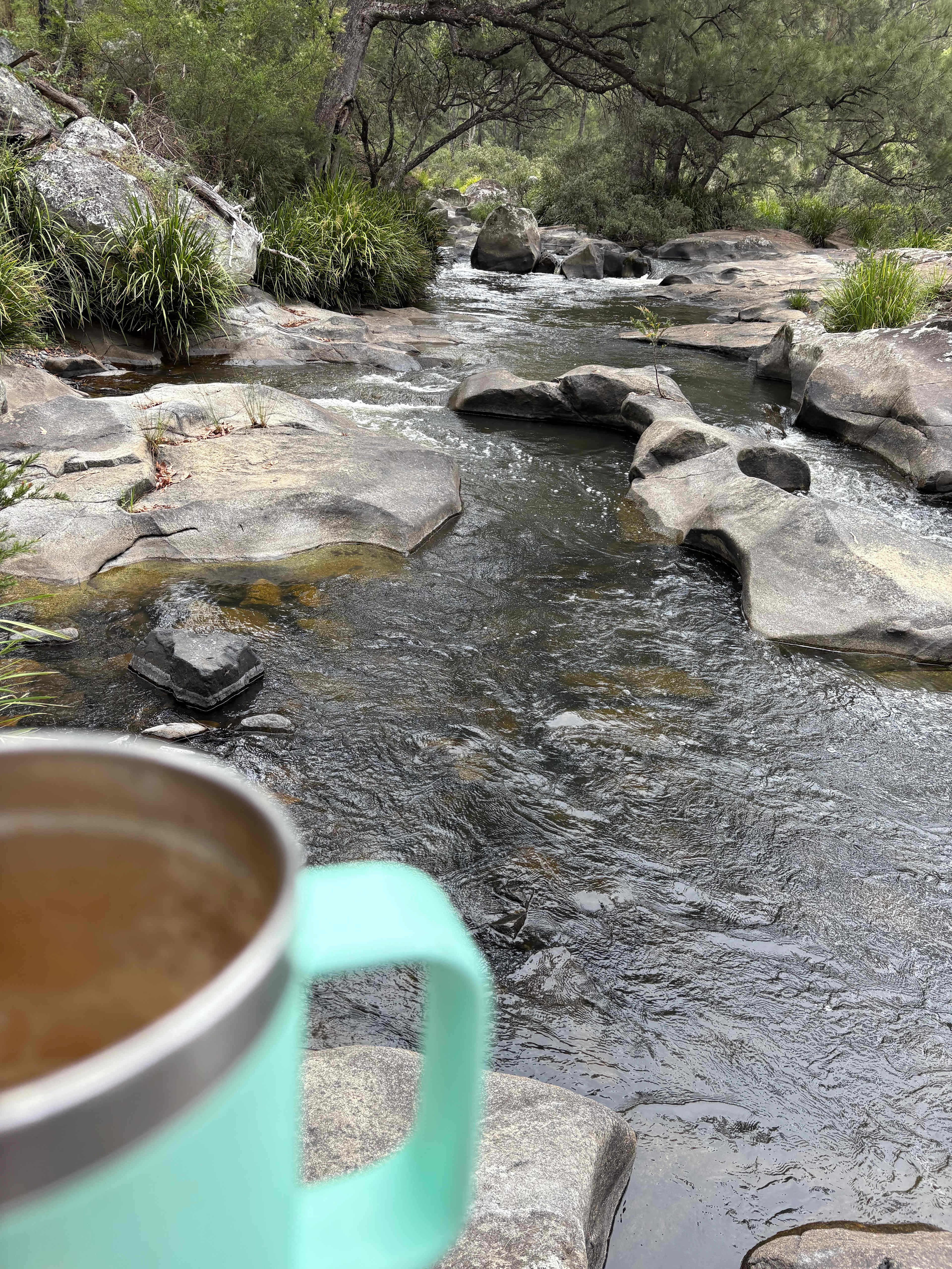 Blicks River Camping