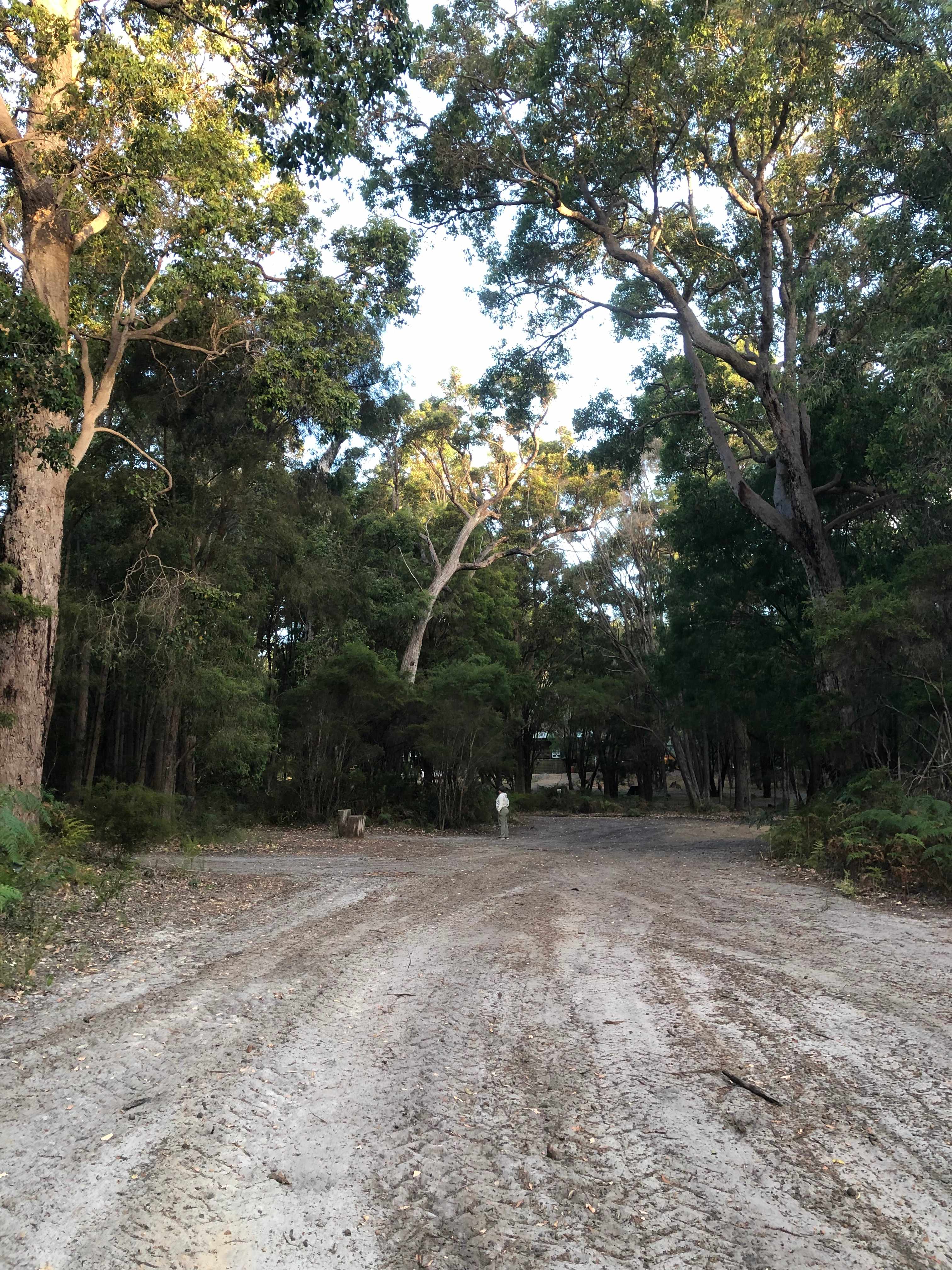 Northcliffe Holiday Park