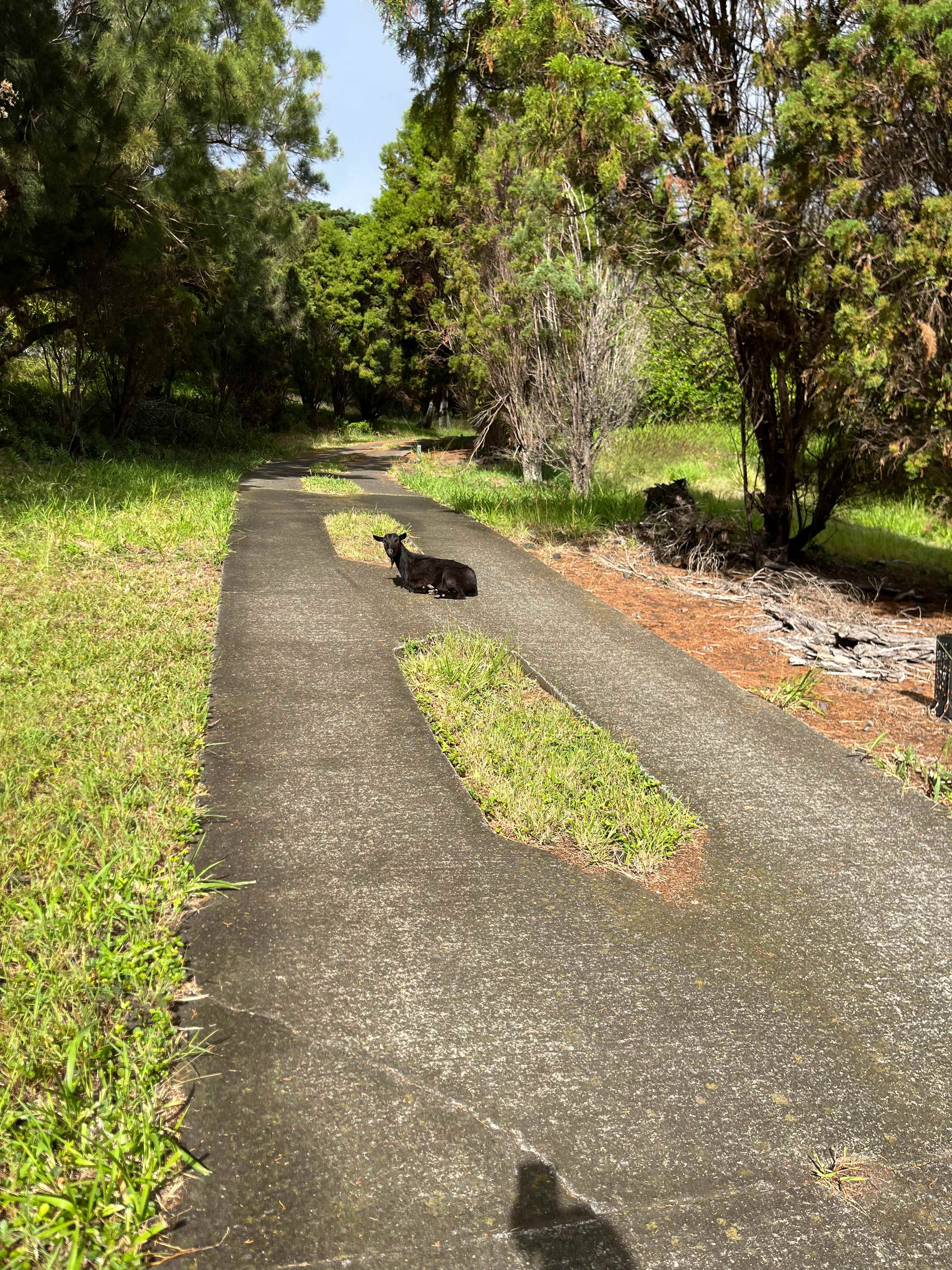 Camp South Pt Green/Blacksand Beach