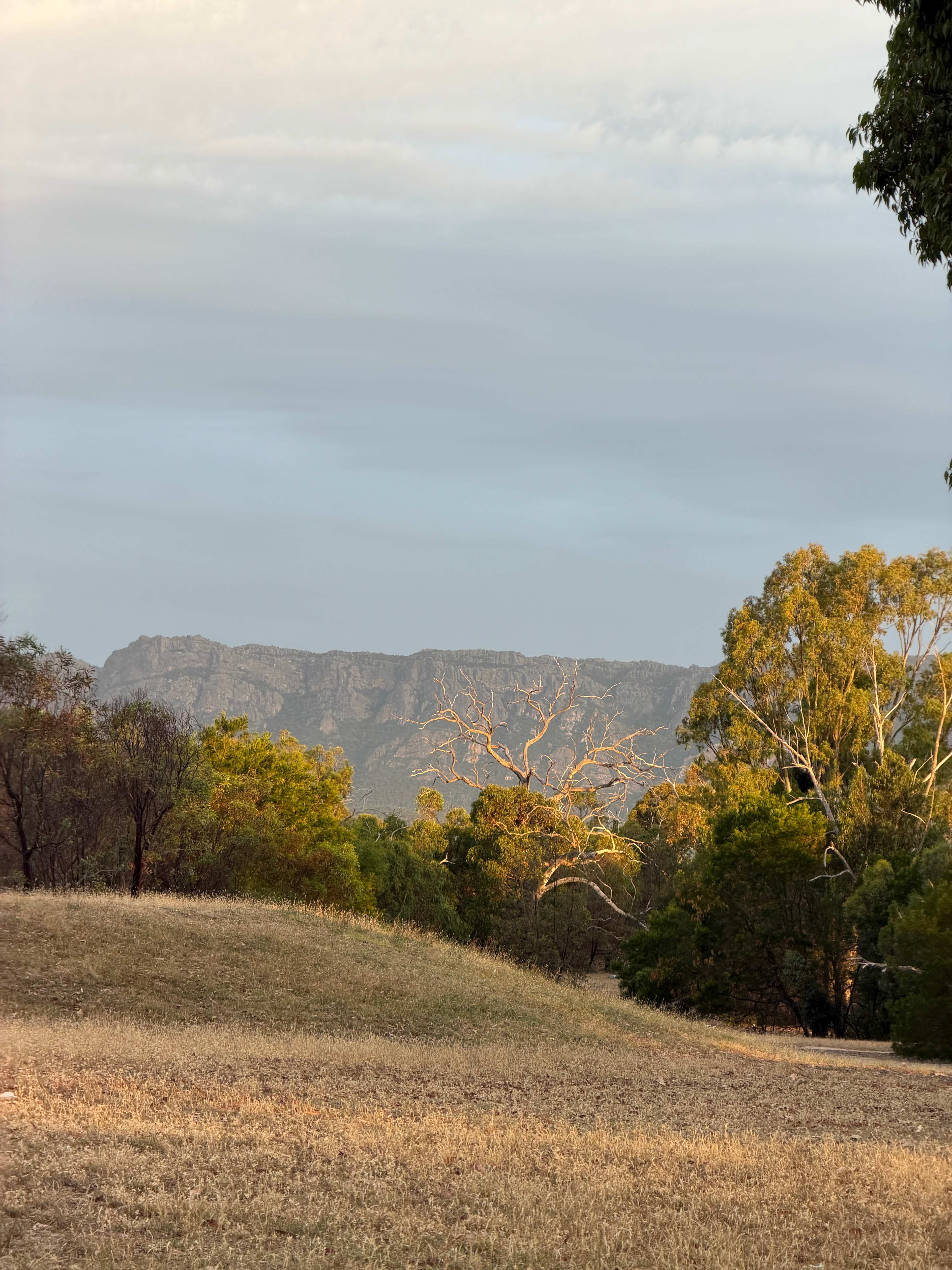 Happy Wanderer Holiday Resort