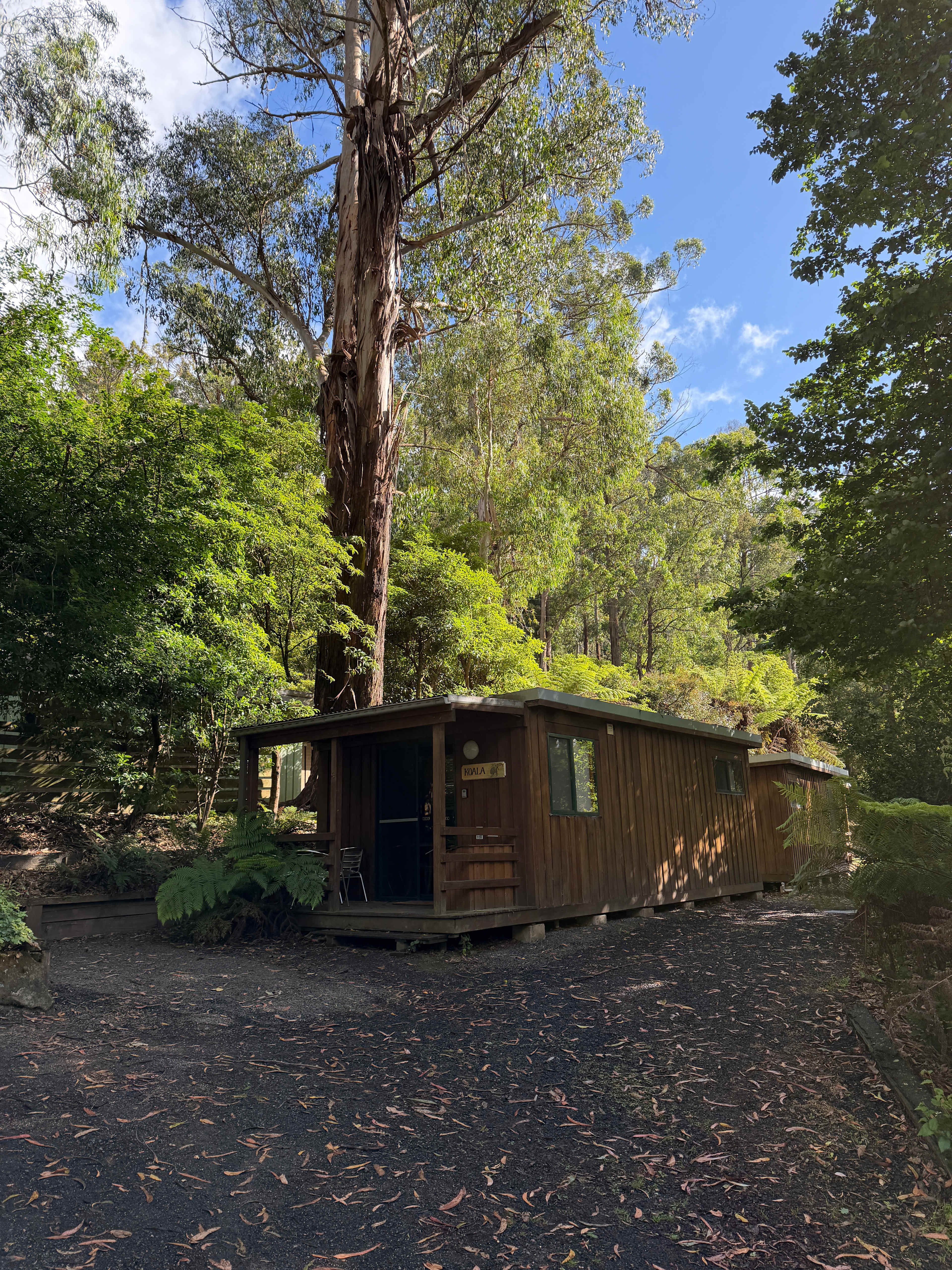 Tarra Valley Retreat