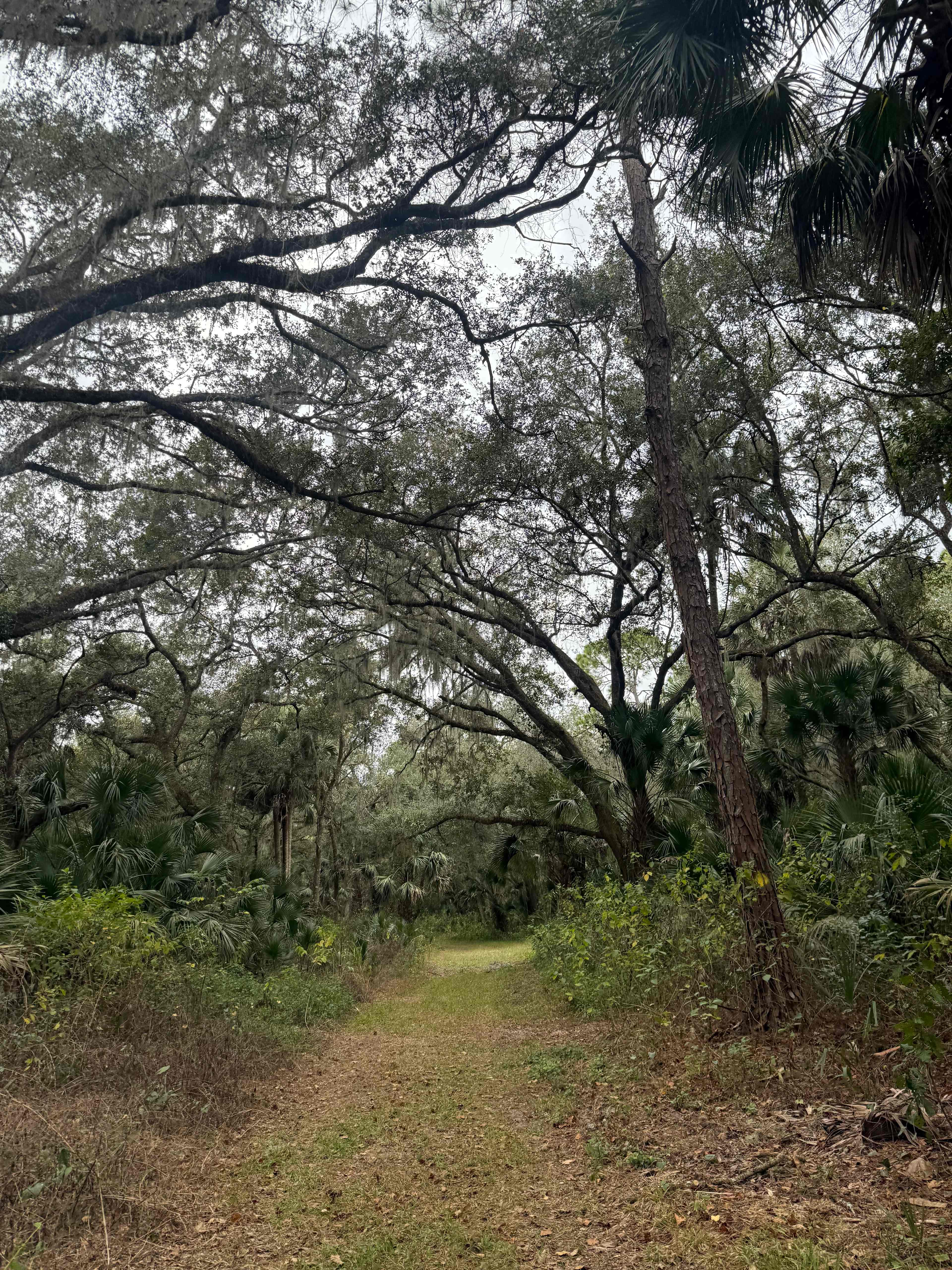 North Shore Relic Ranch
