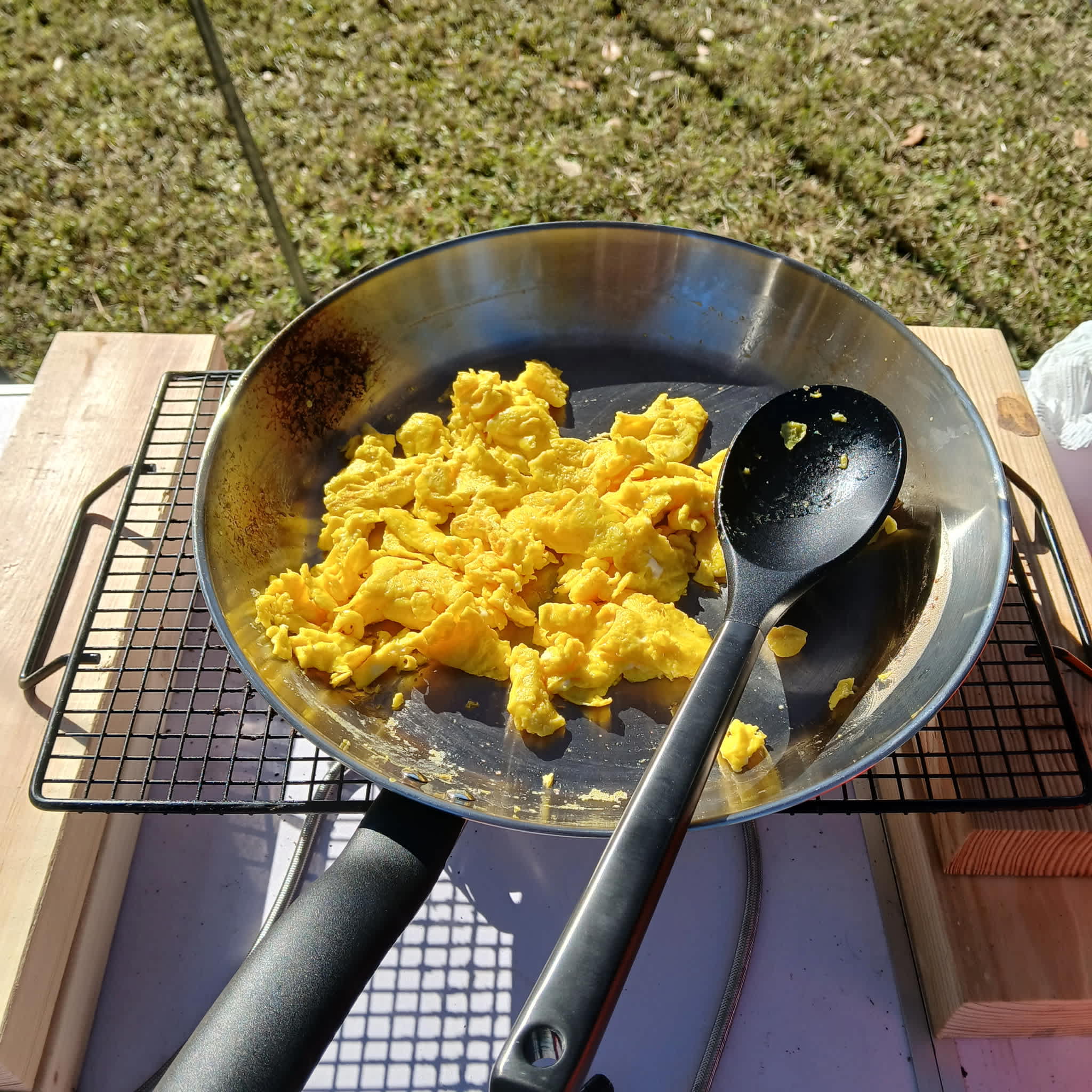 IN THE FOREST AND  CLOSE TO OCEAN