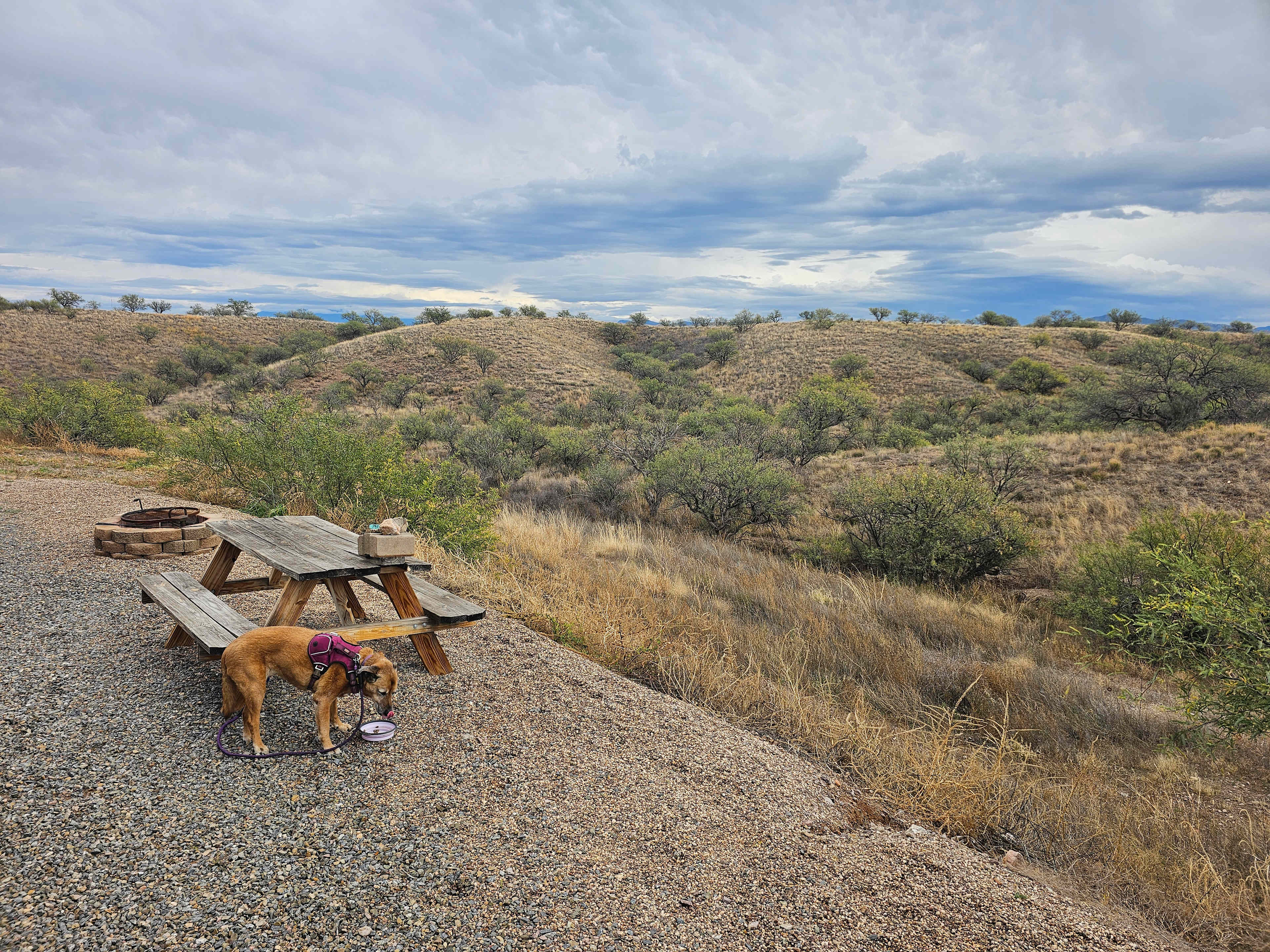 Exception Ranch RV Site