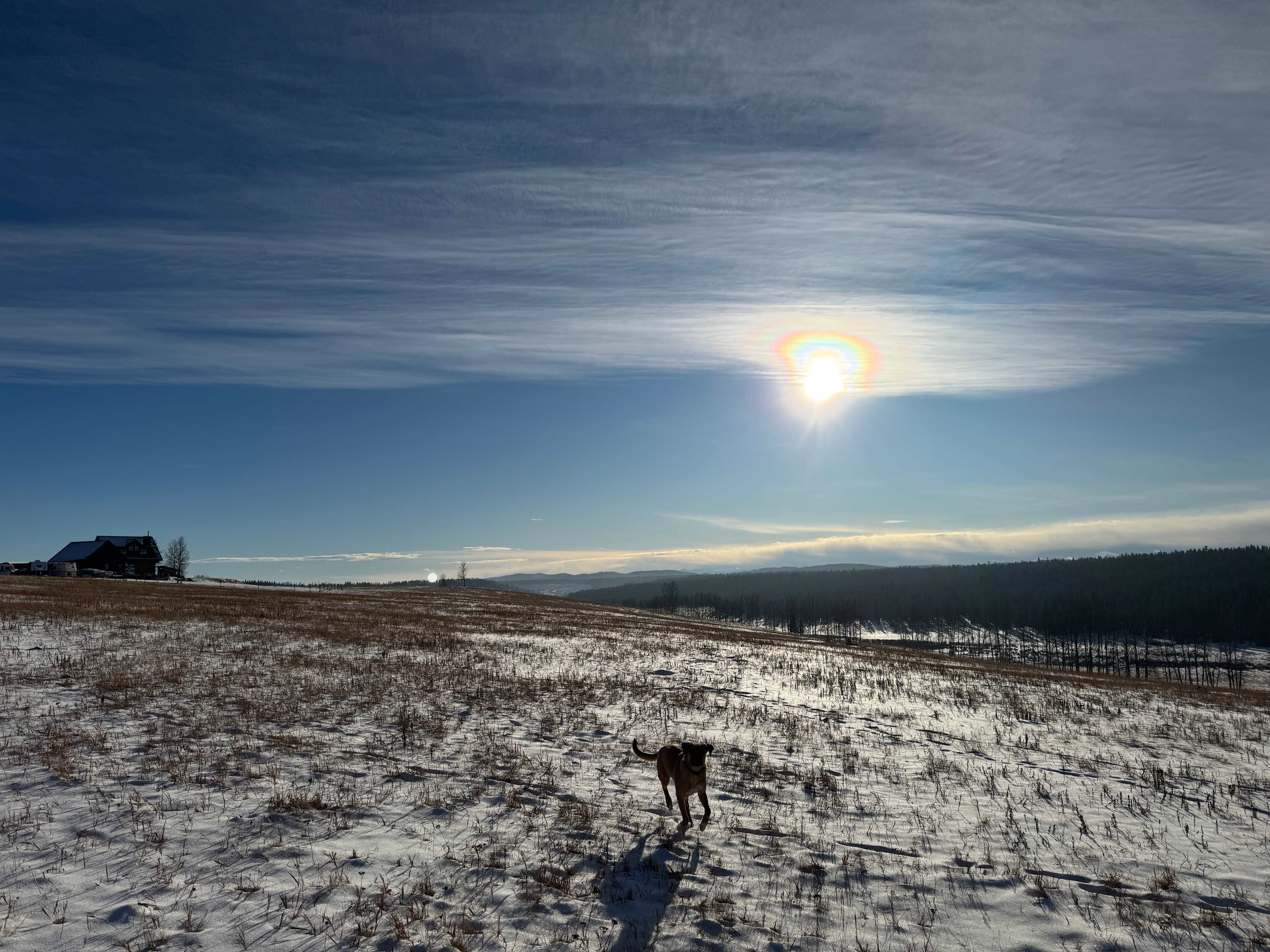 Rough Diamond Ranch Alberta
