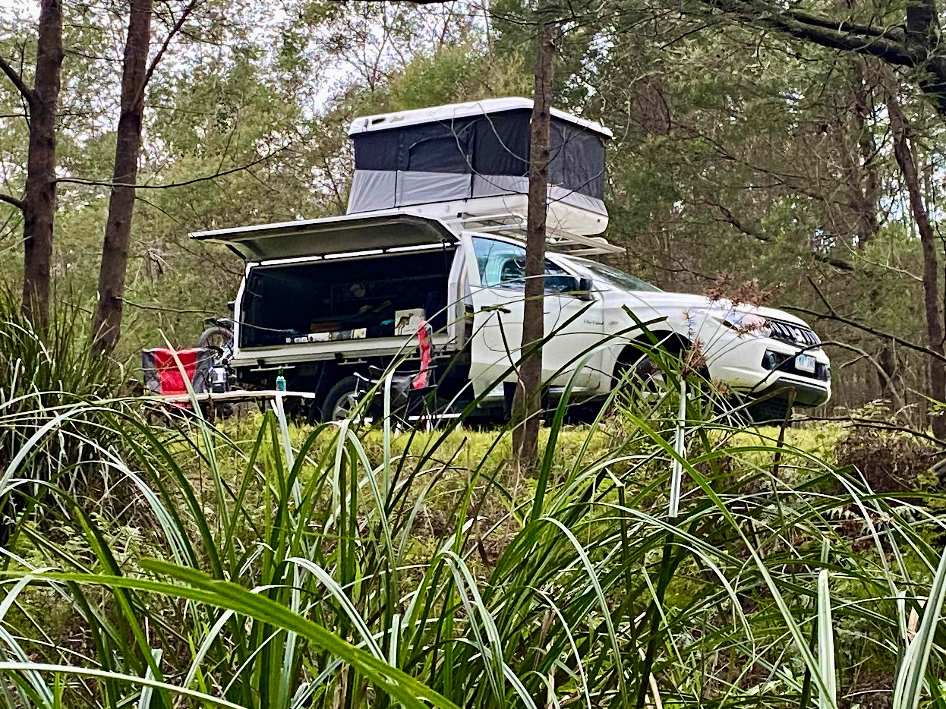 The Hundred Acre Woods