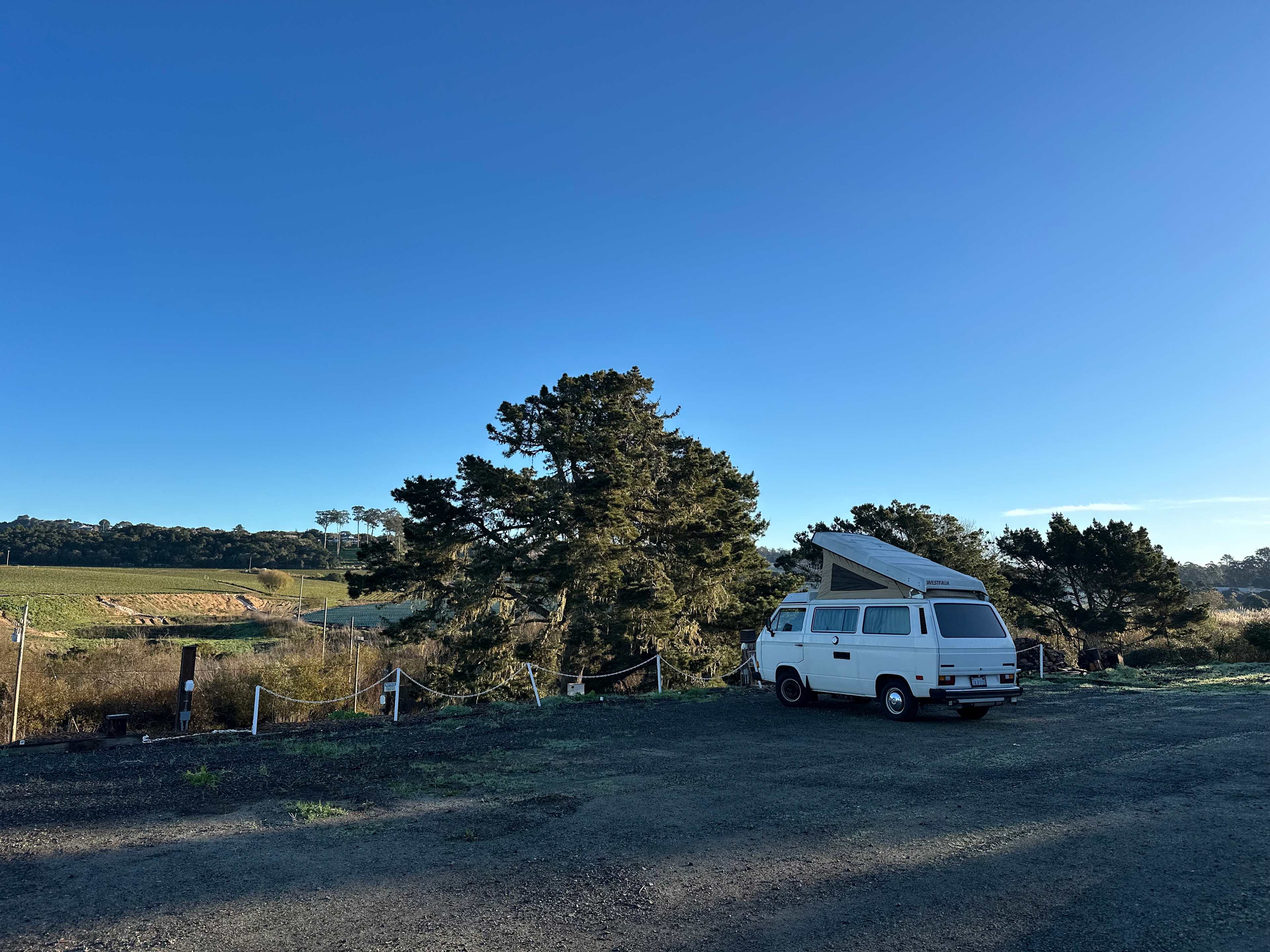 Strawberry Fields+Walk to the Beach