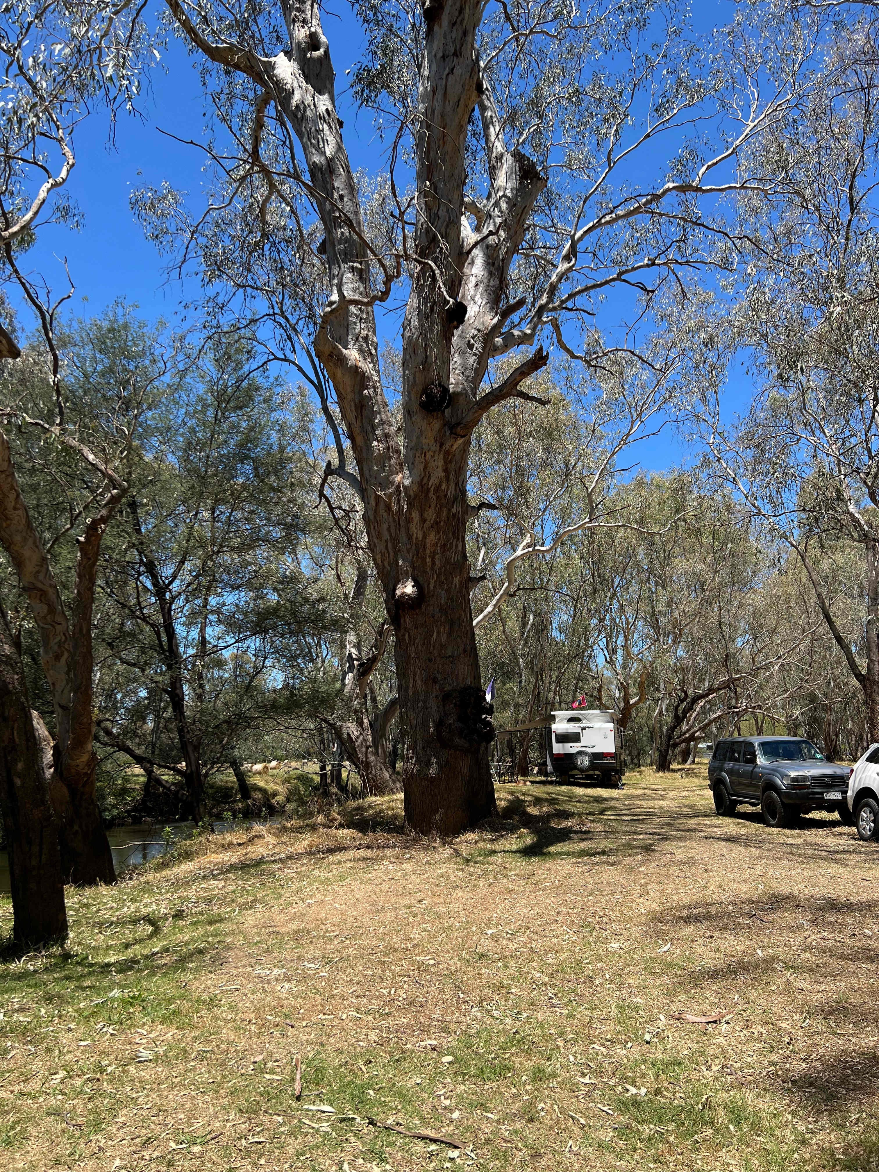 OvensKing River Retreat