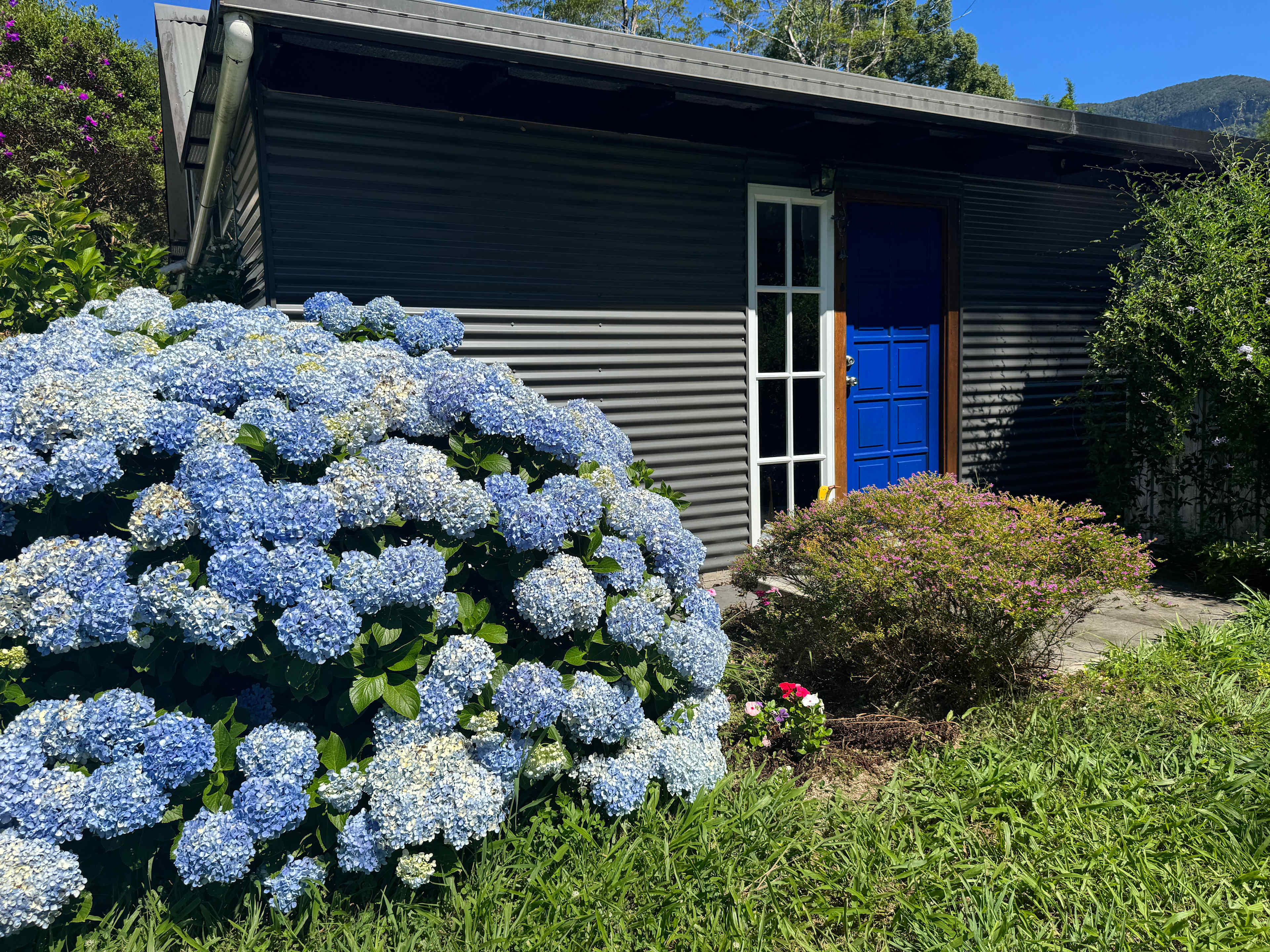 Crystal Creek Rainforest Treehouse