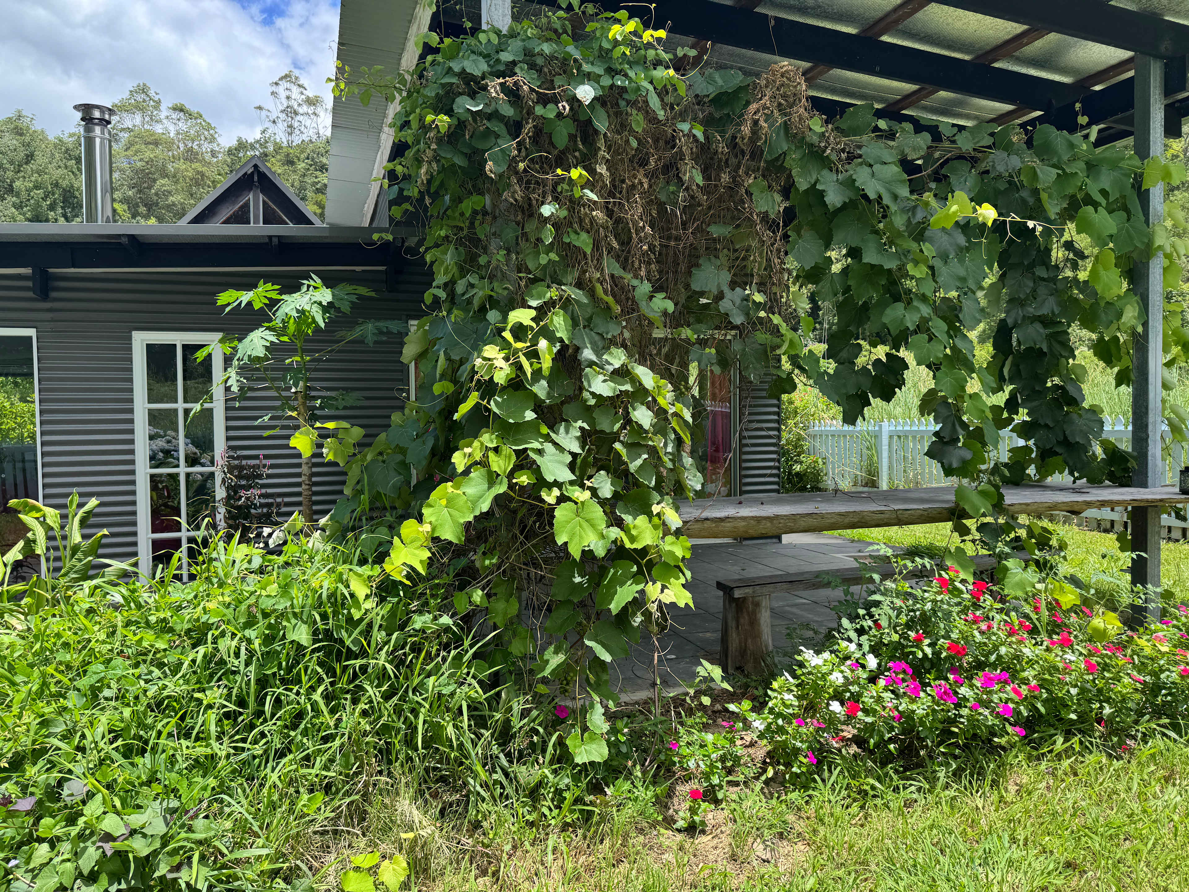 Crystal Creek Rainforest Treehouse
