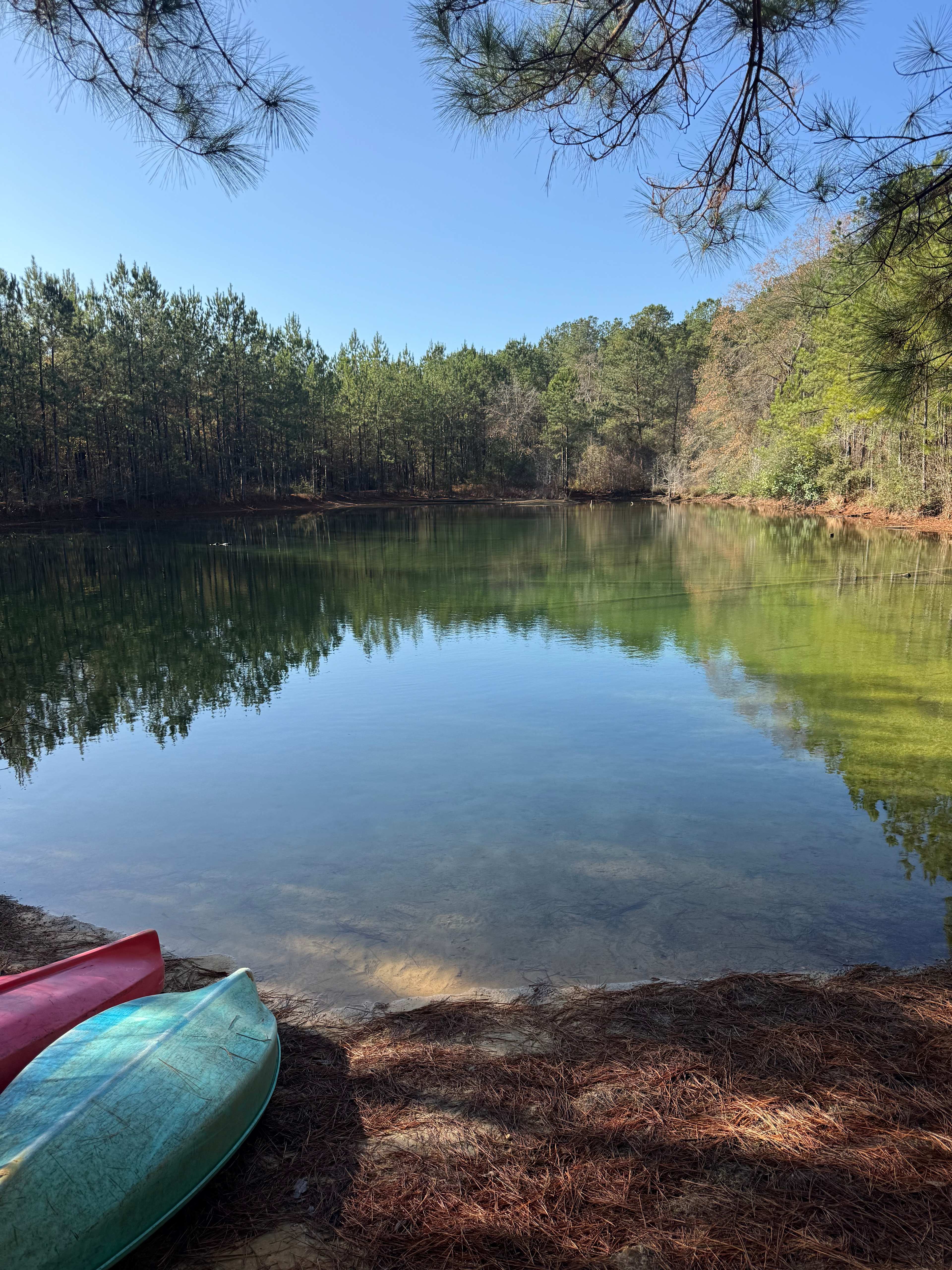 All You Need Institute