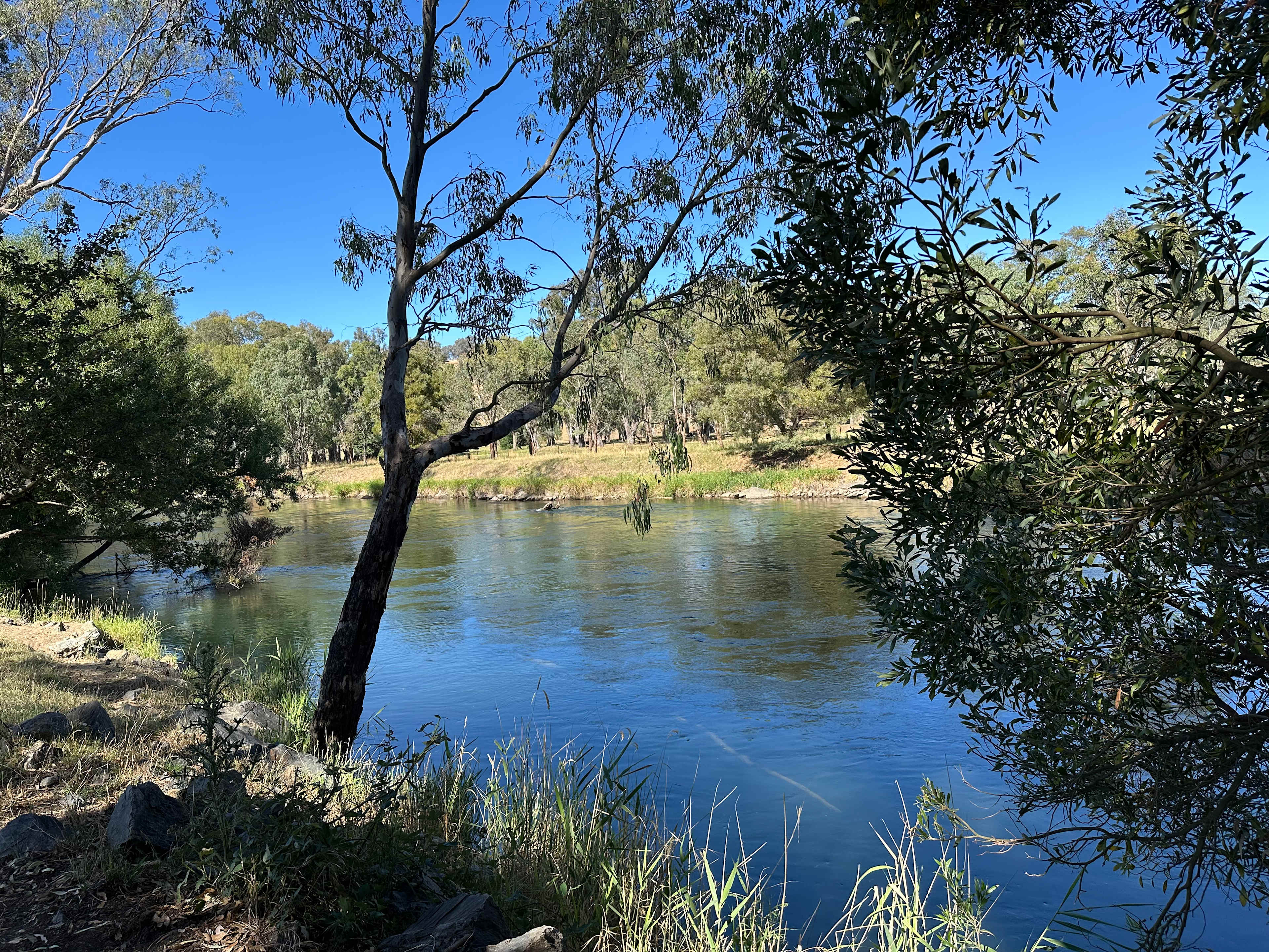 Bahwidgee on Tumut River