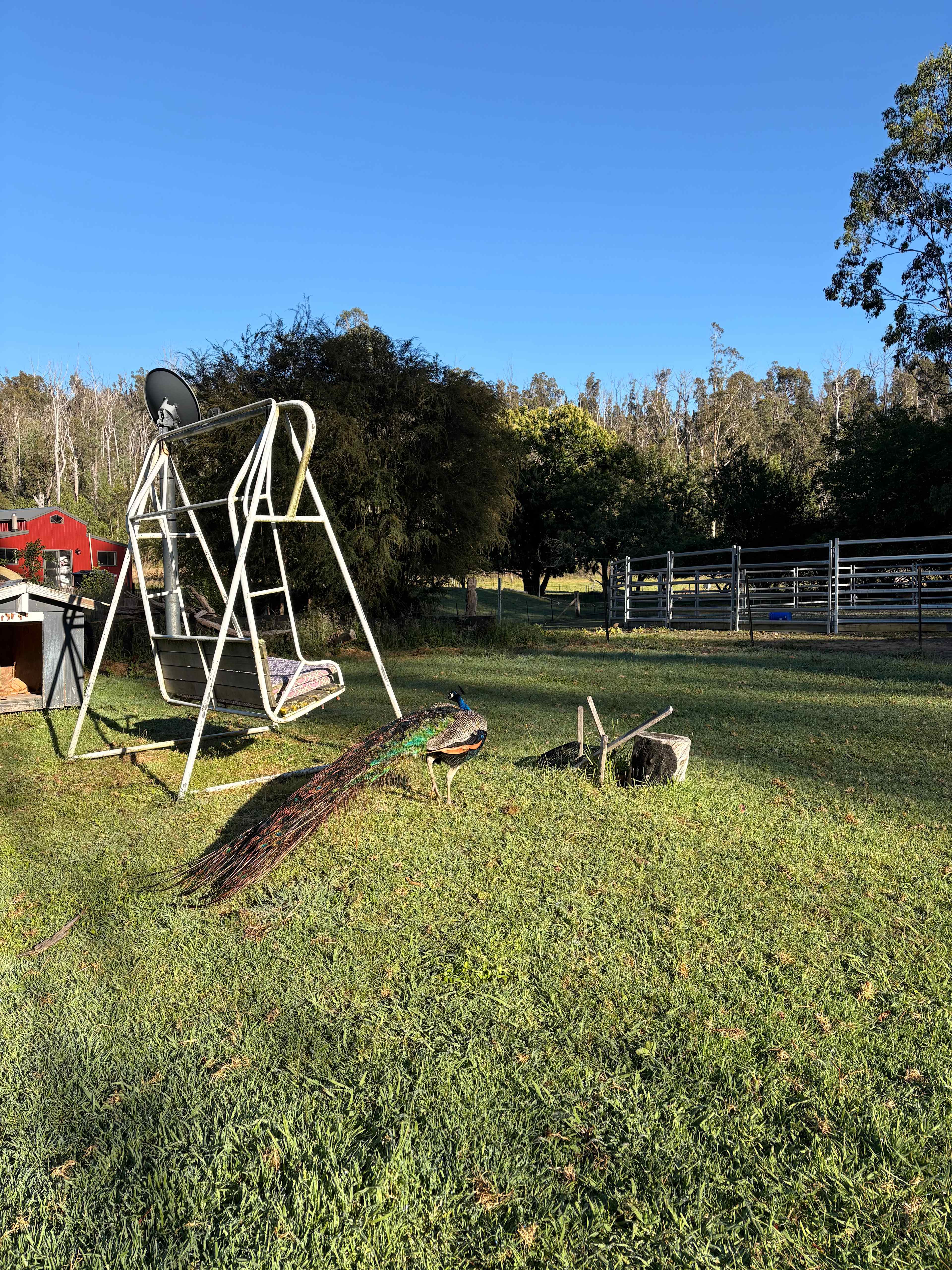 Kanukadale Forest River Retreat
