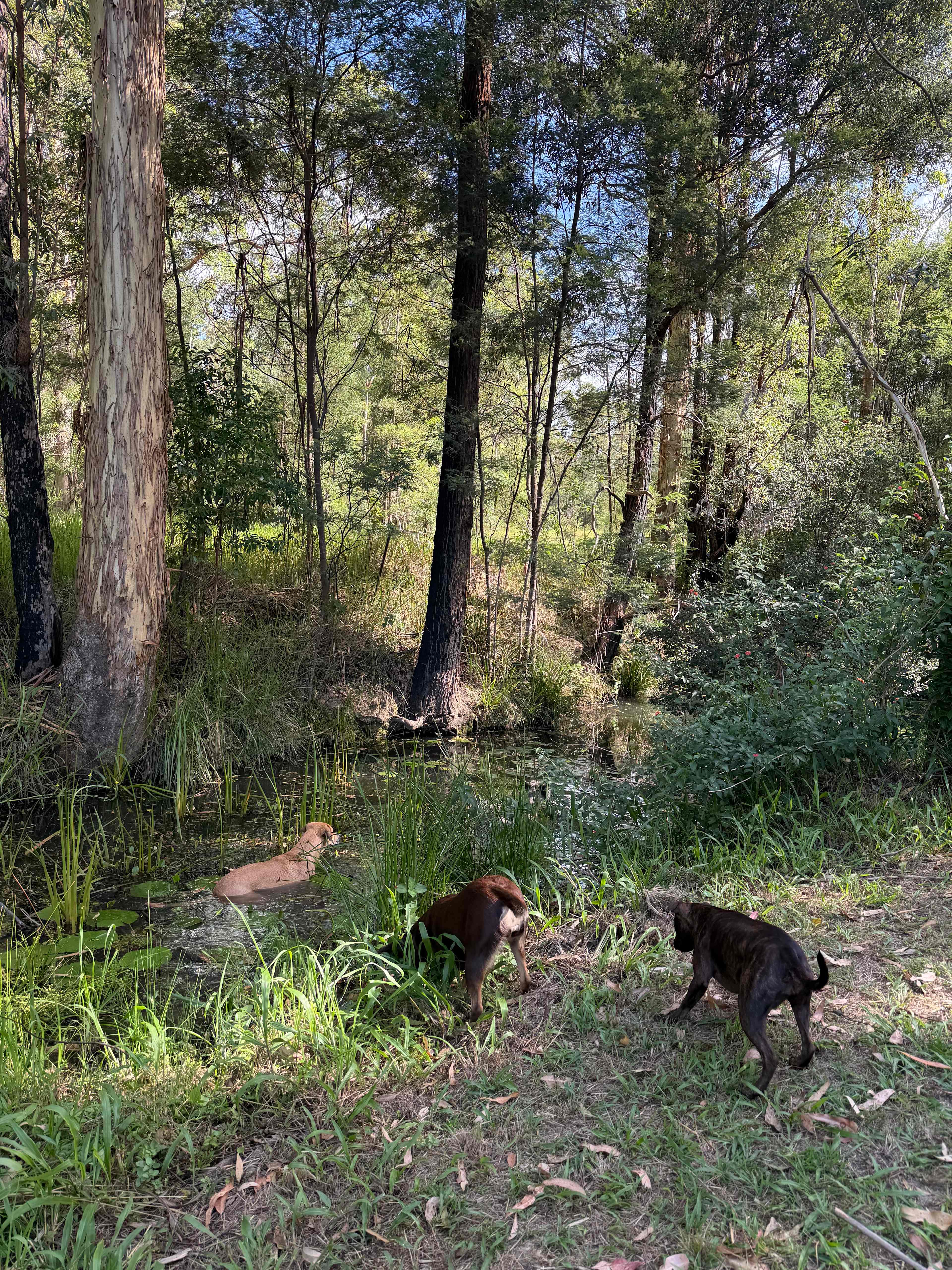 The Good Life Camping