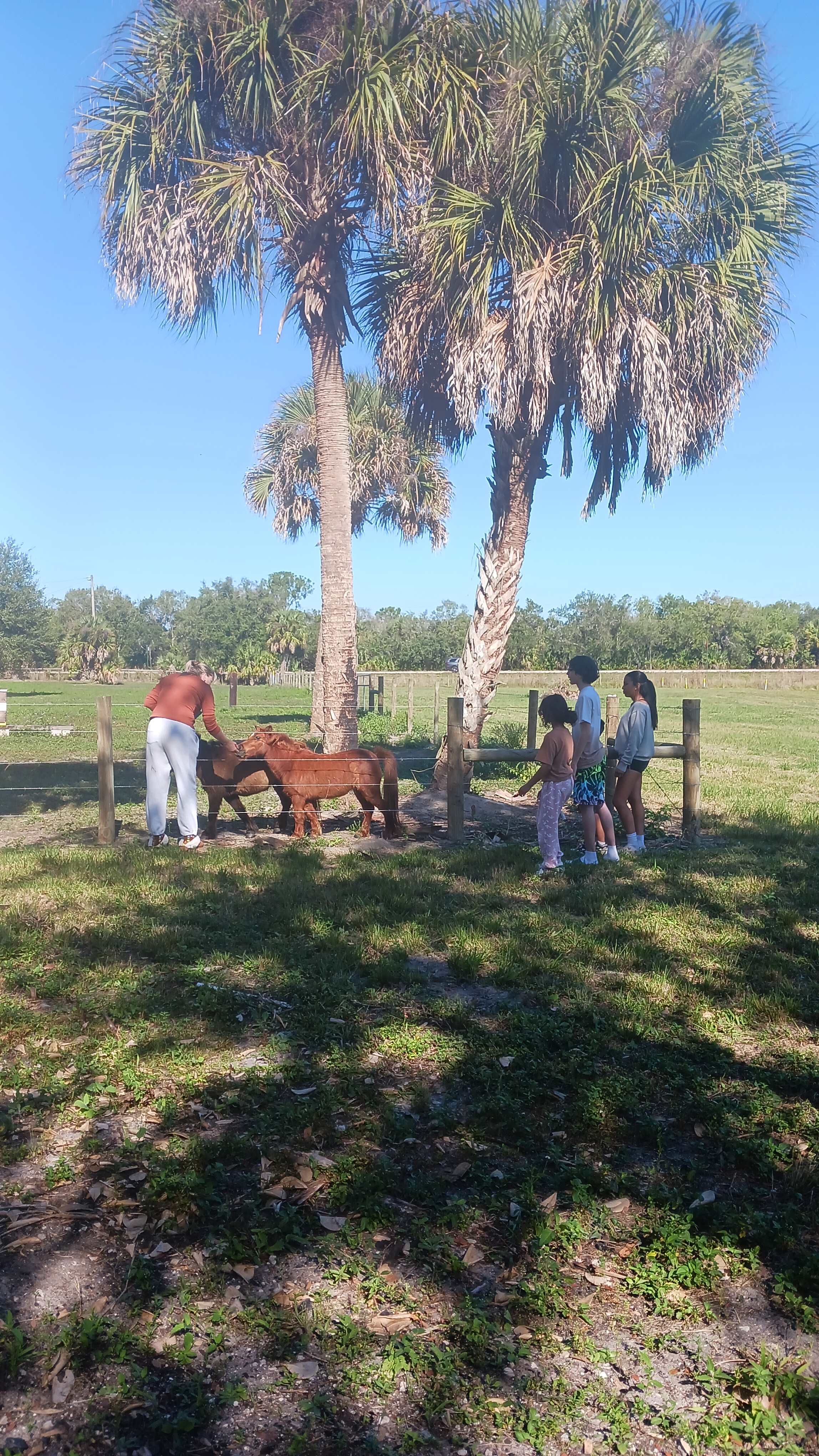 Taste of Old Florida