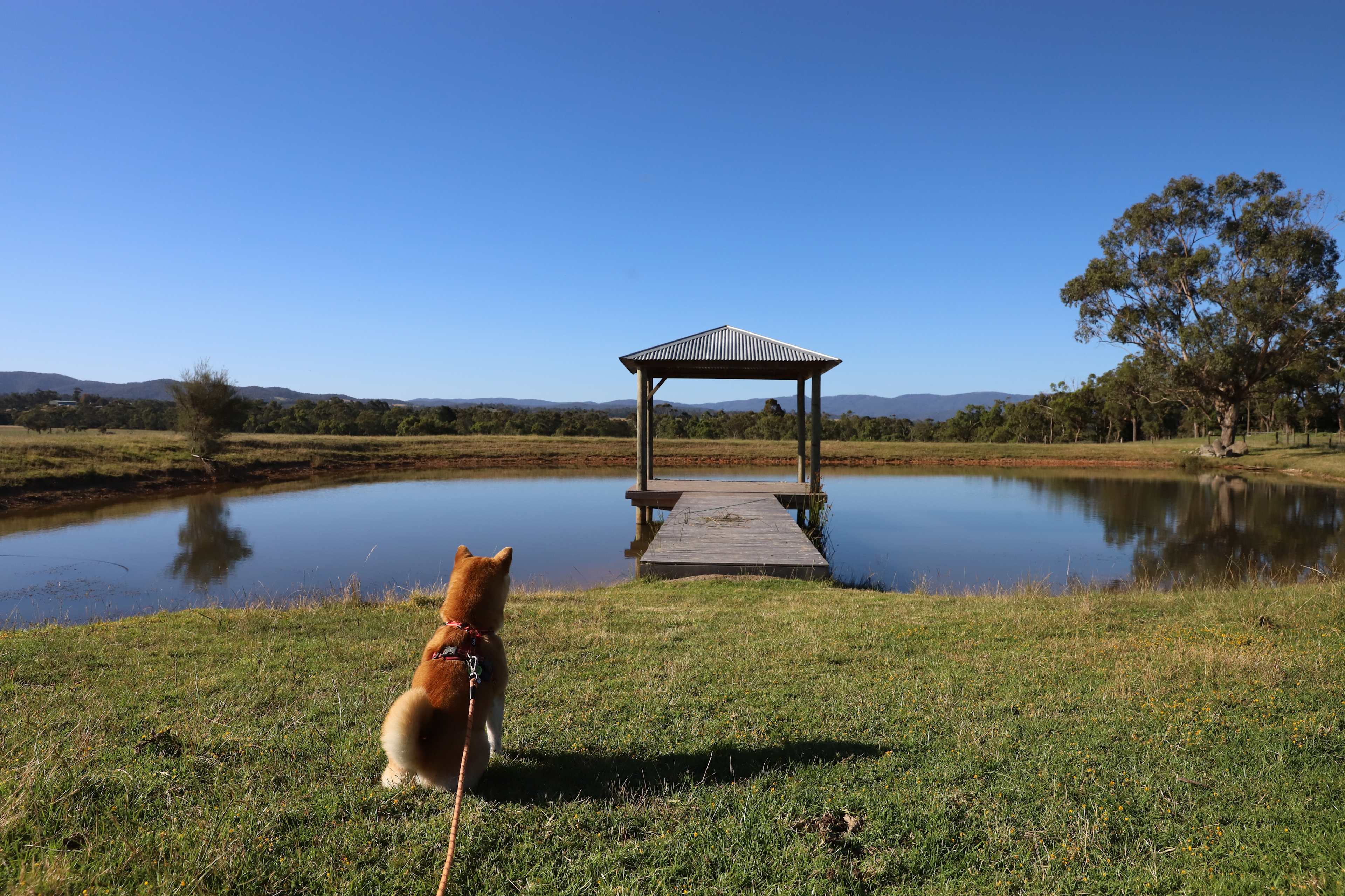 Cannavale Farm Stay